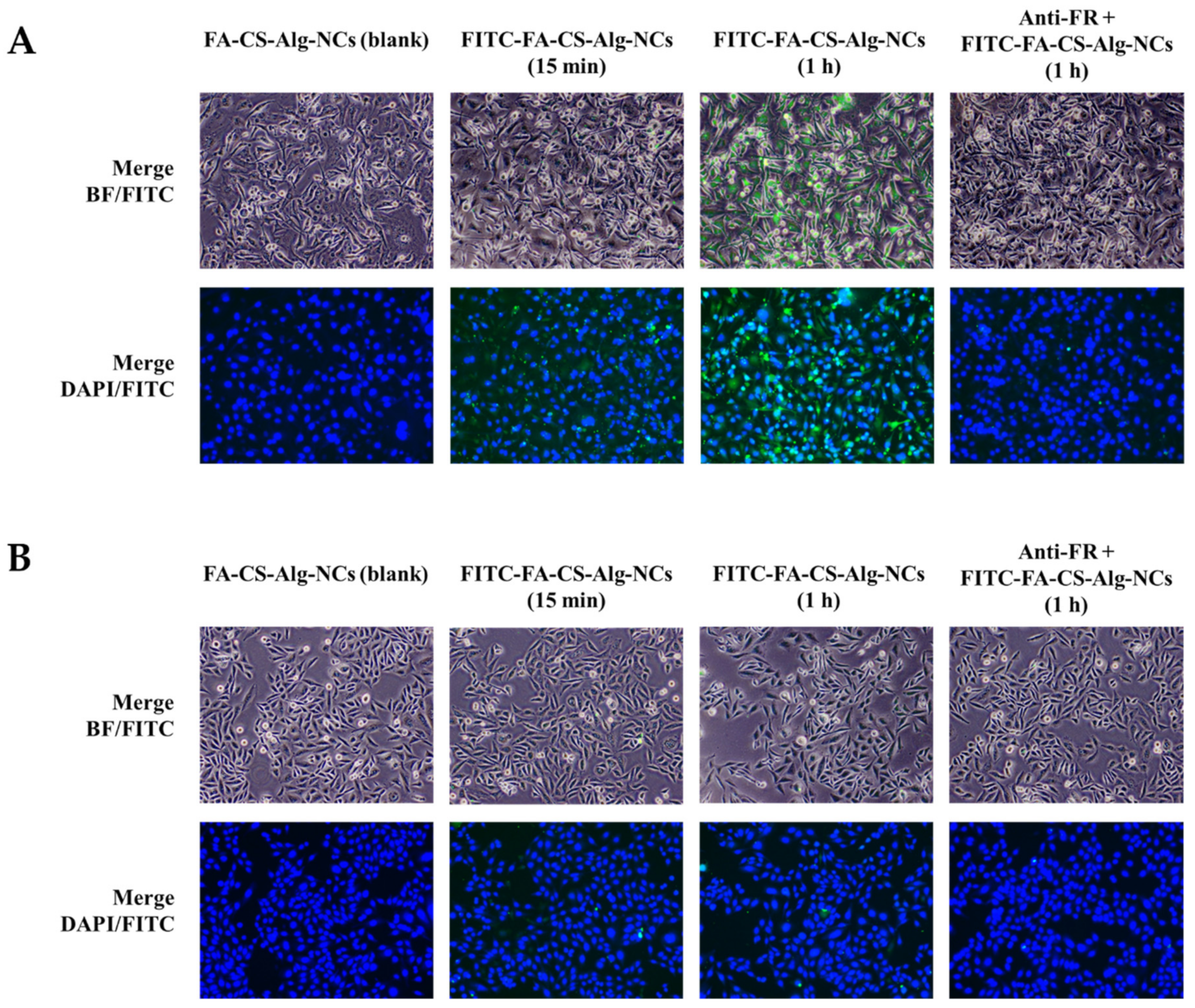 Pharmaceutics 15 00110 g007