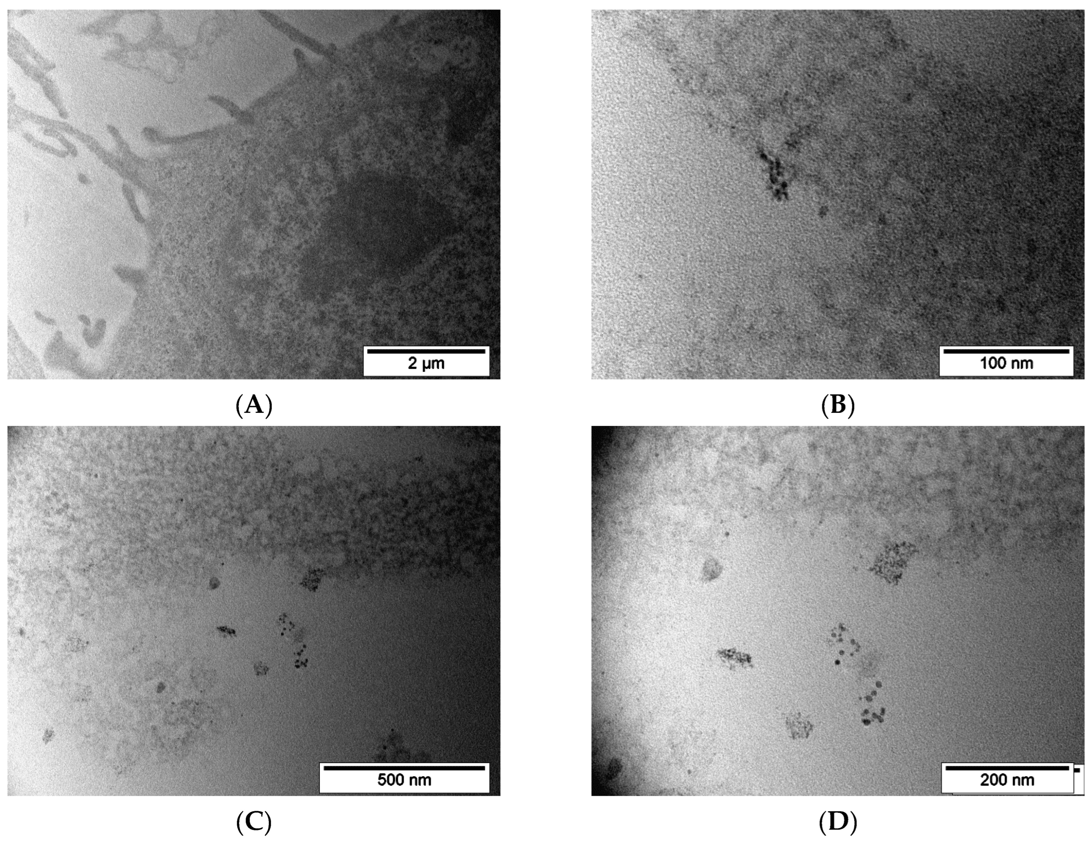 Pharmaceutics 15 00127 g008a