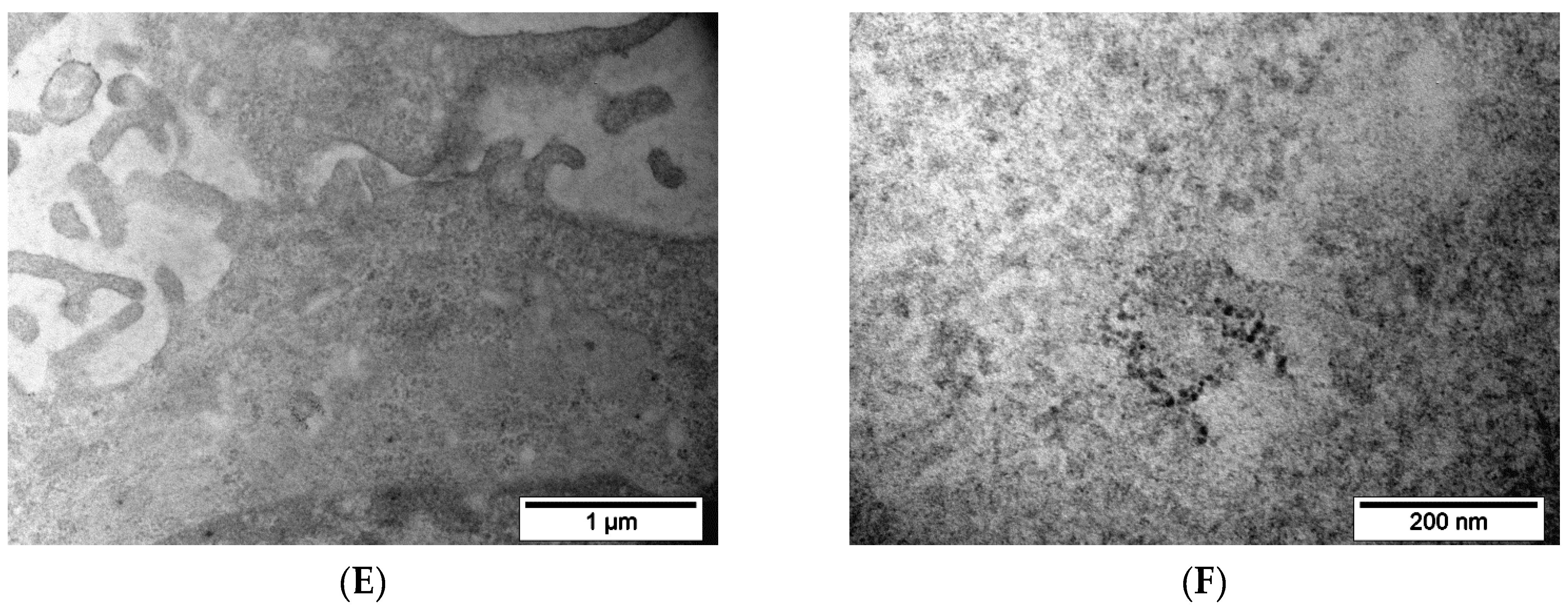 Pharmaceutics 15 00127 g008b
