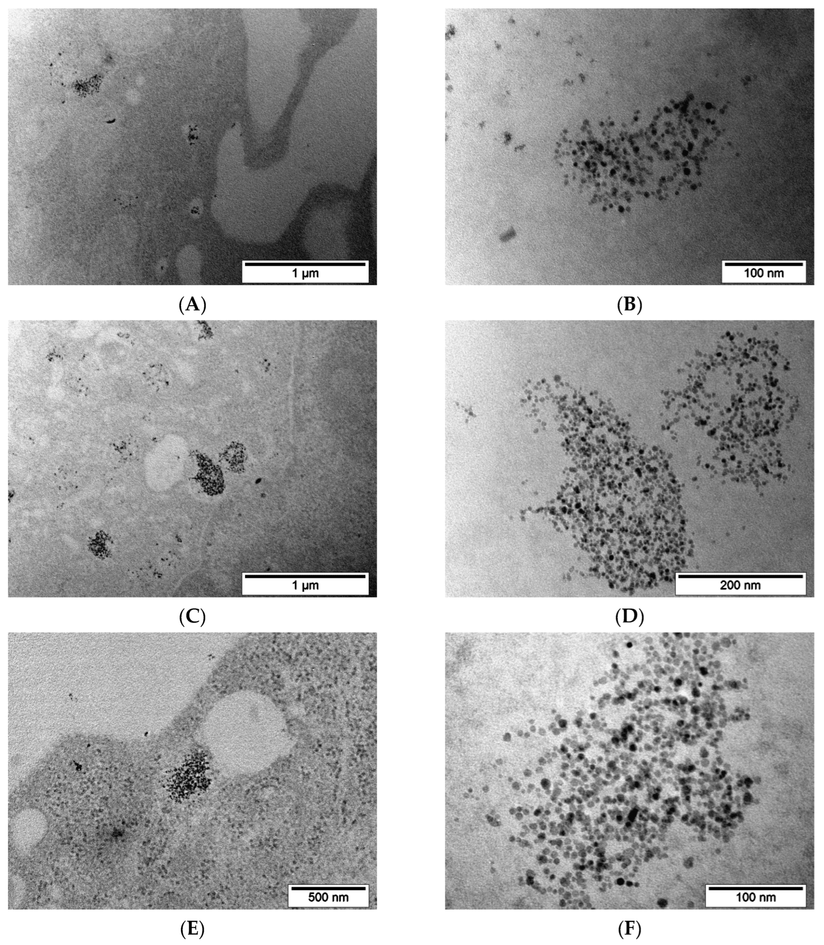 Pharmaceutics 15 00127 g009a