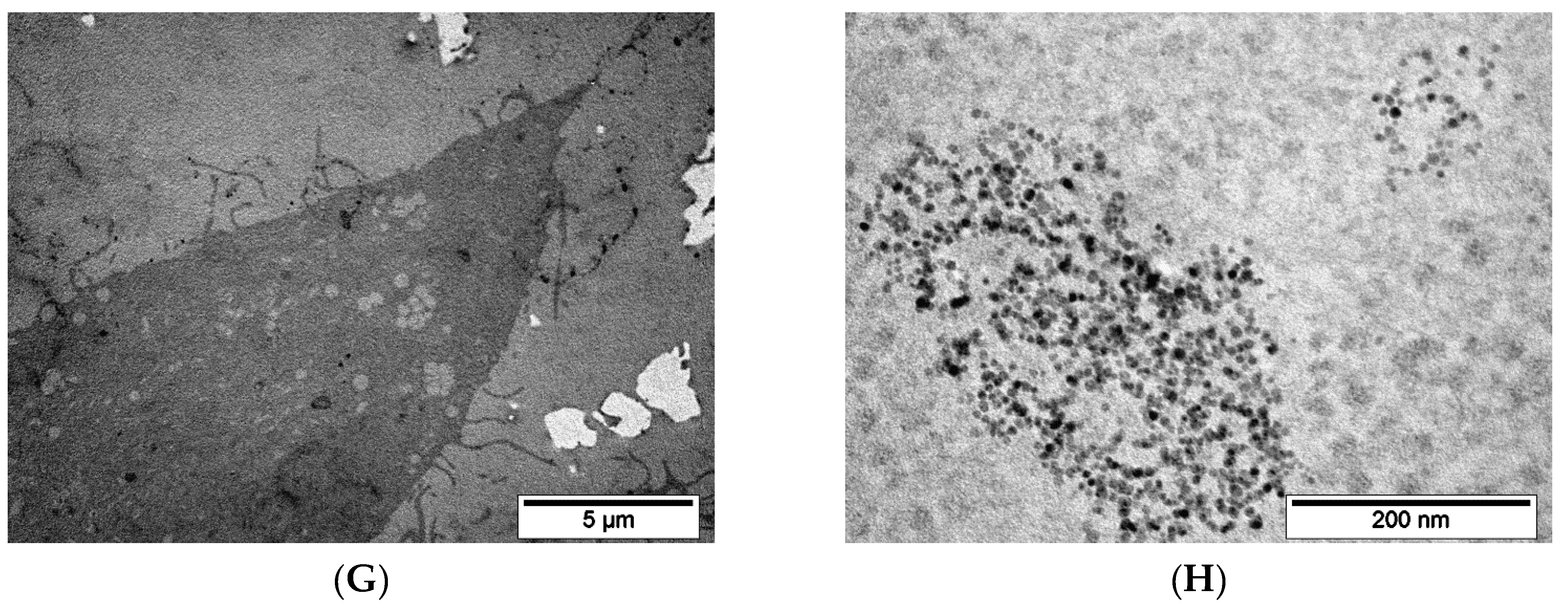 Pharmaceutics 15 00127 g009b