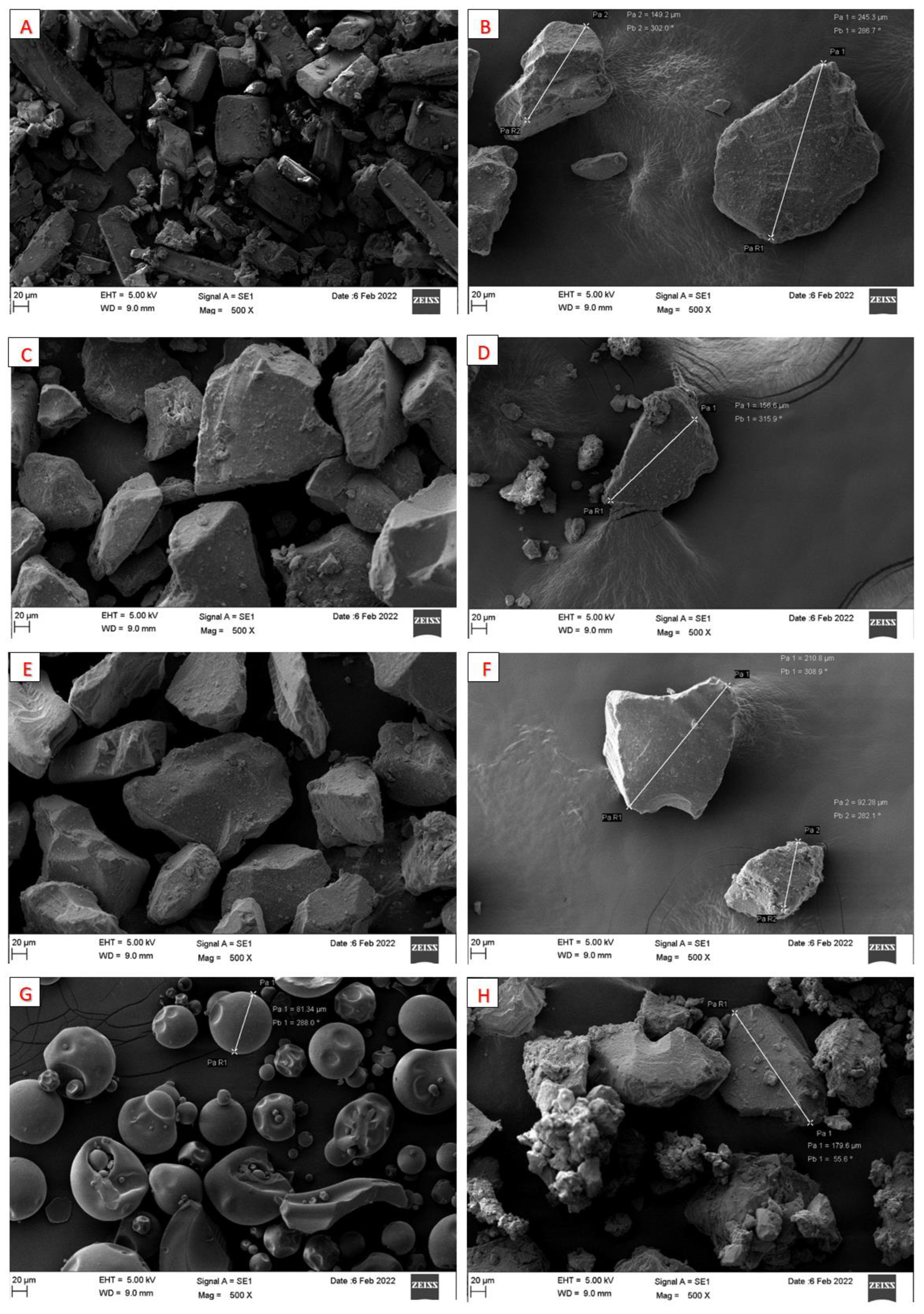 Pharmaceutics 15 00134 g007