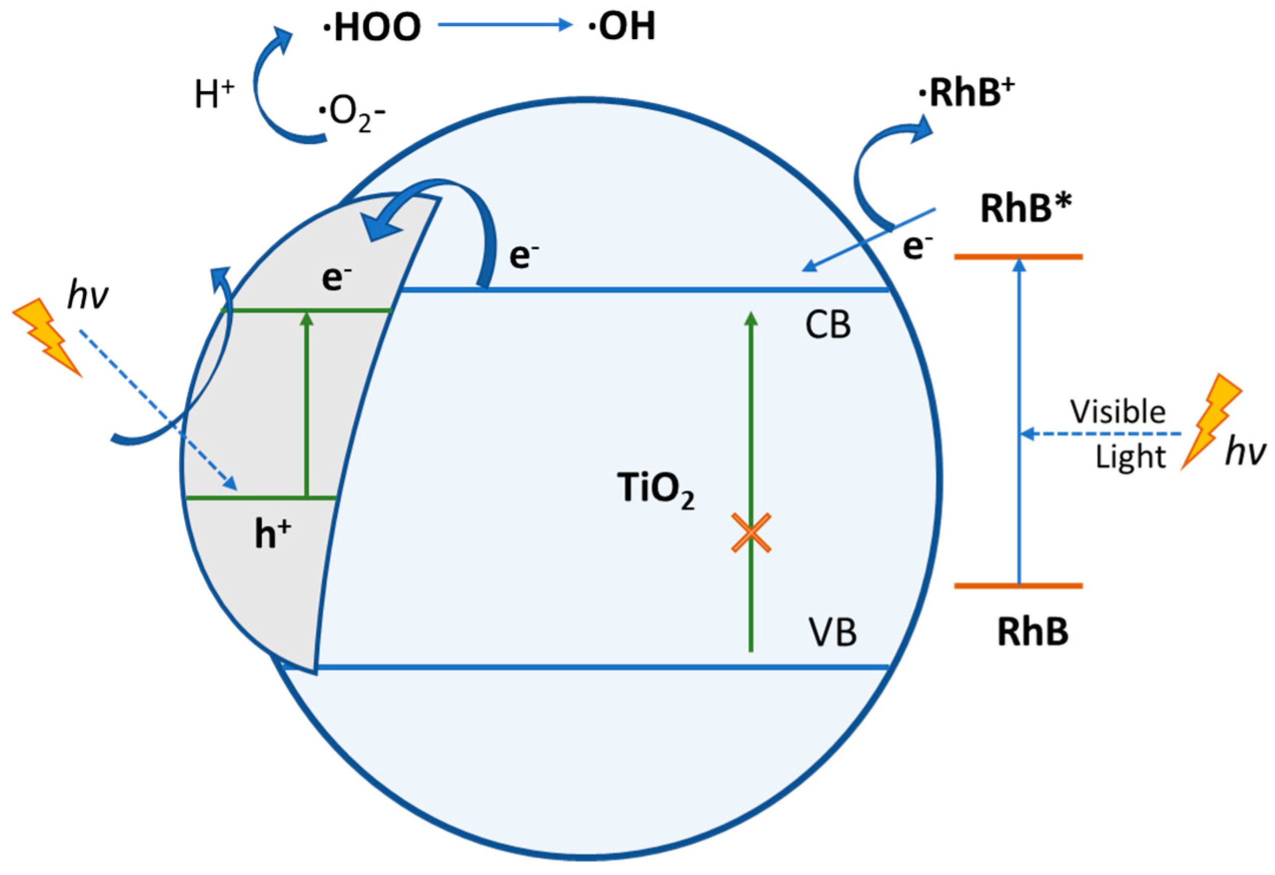 Pharmaceutics 15 00135 g016
