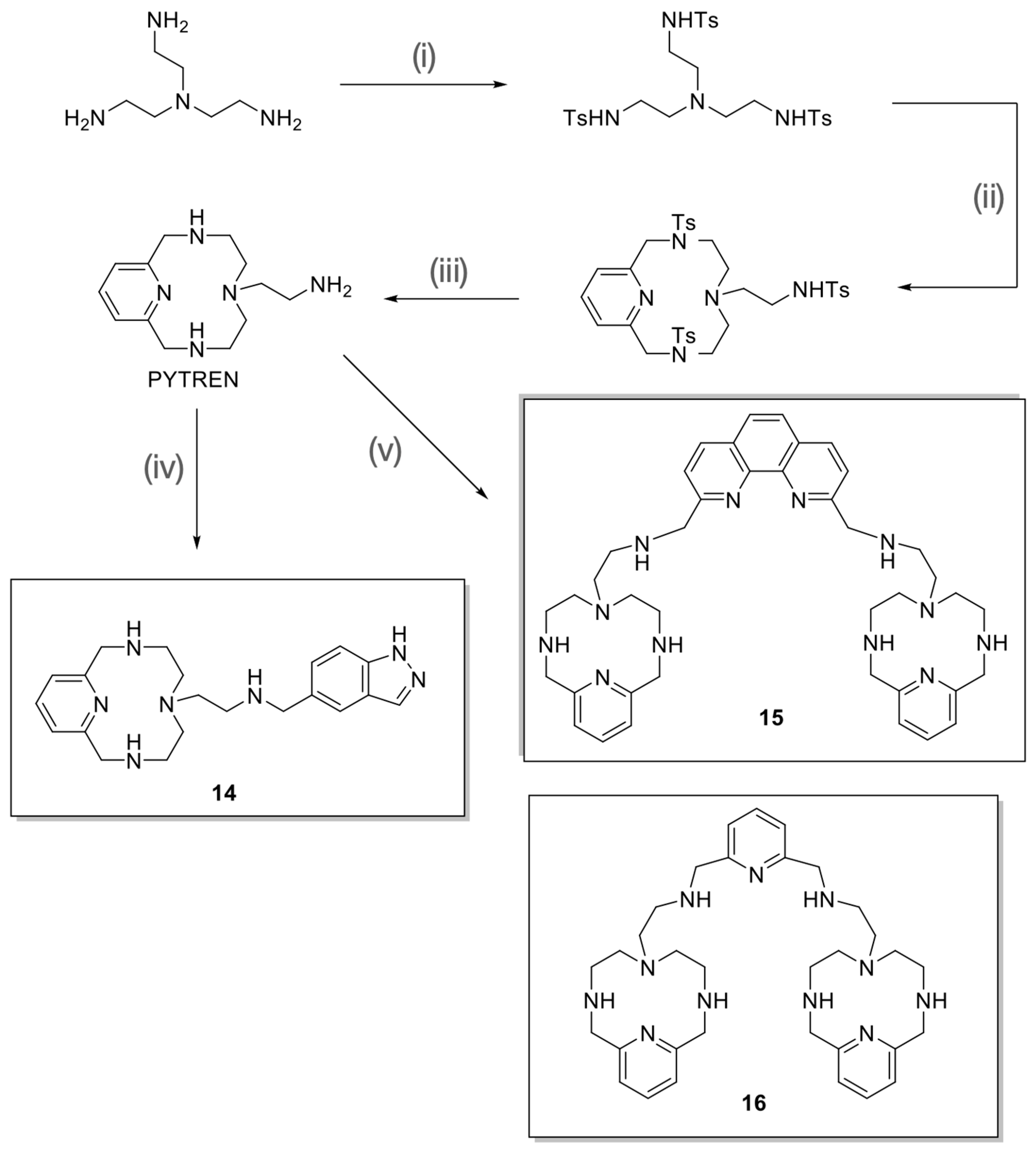Pharmaceutics 15 00140 sch003