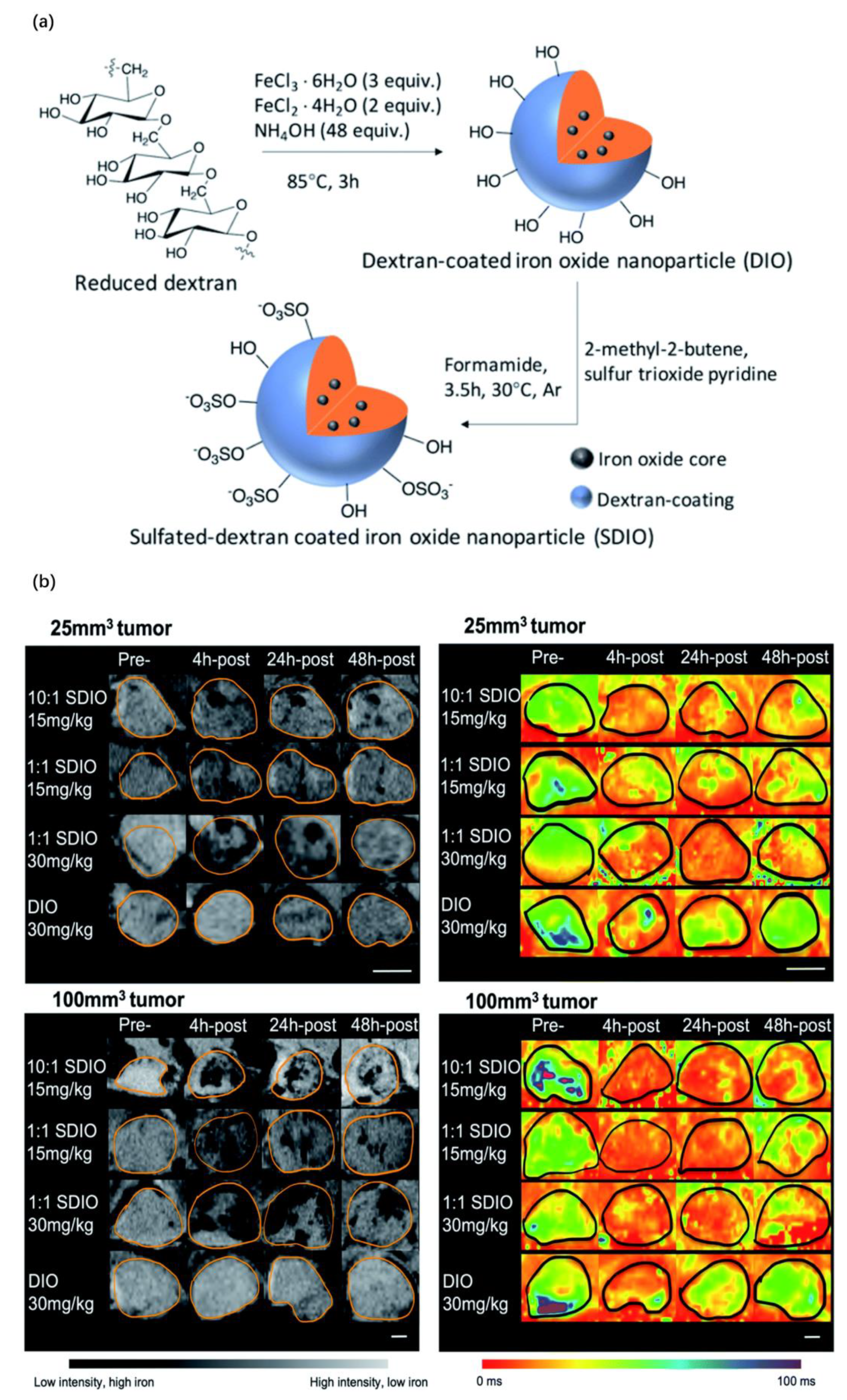 Pharmaceutics 15 00144 g003