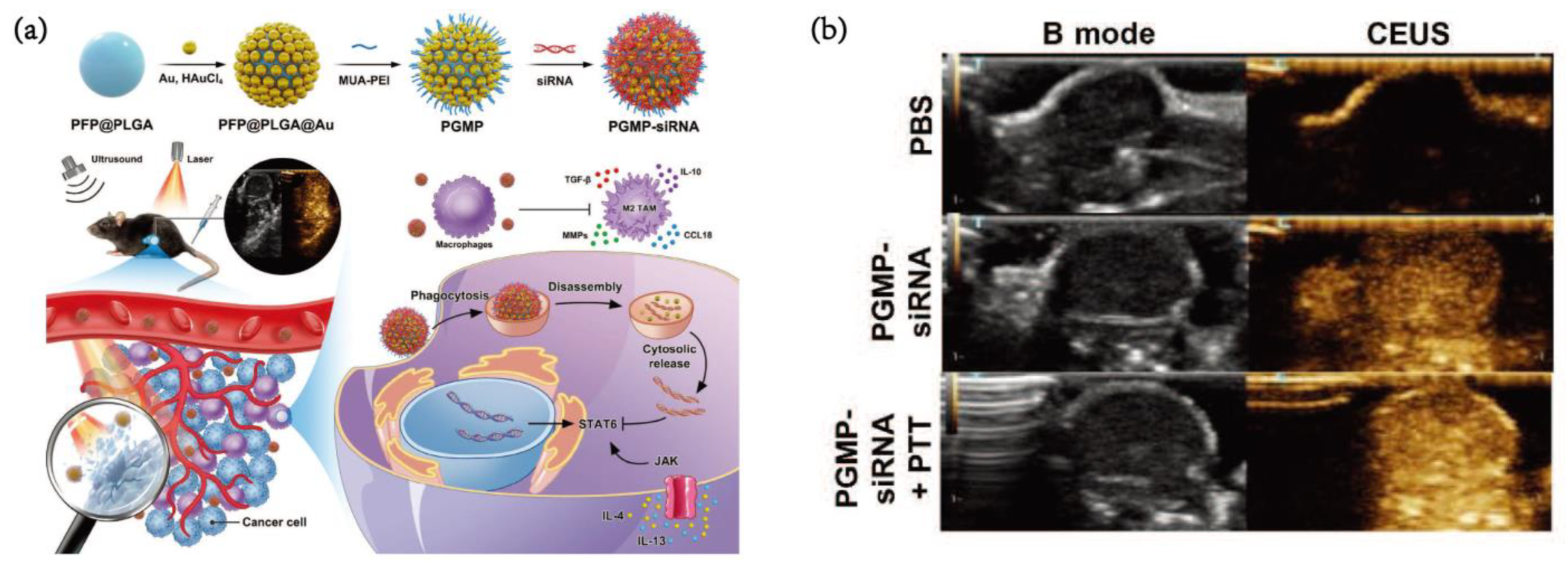 Pharmaceutics 15 00144 g004