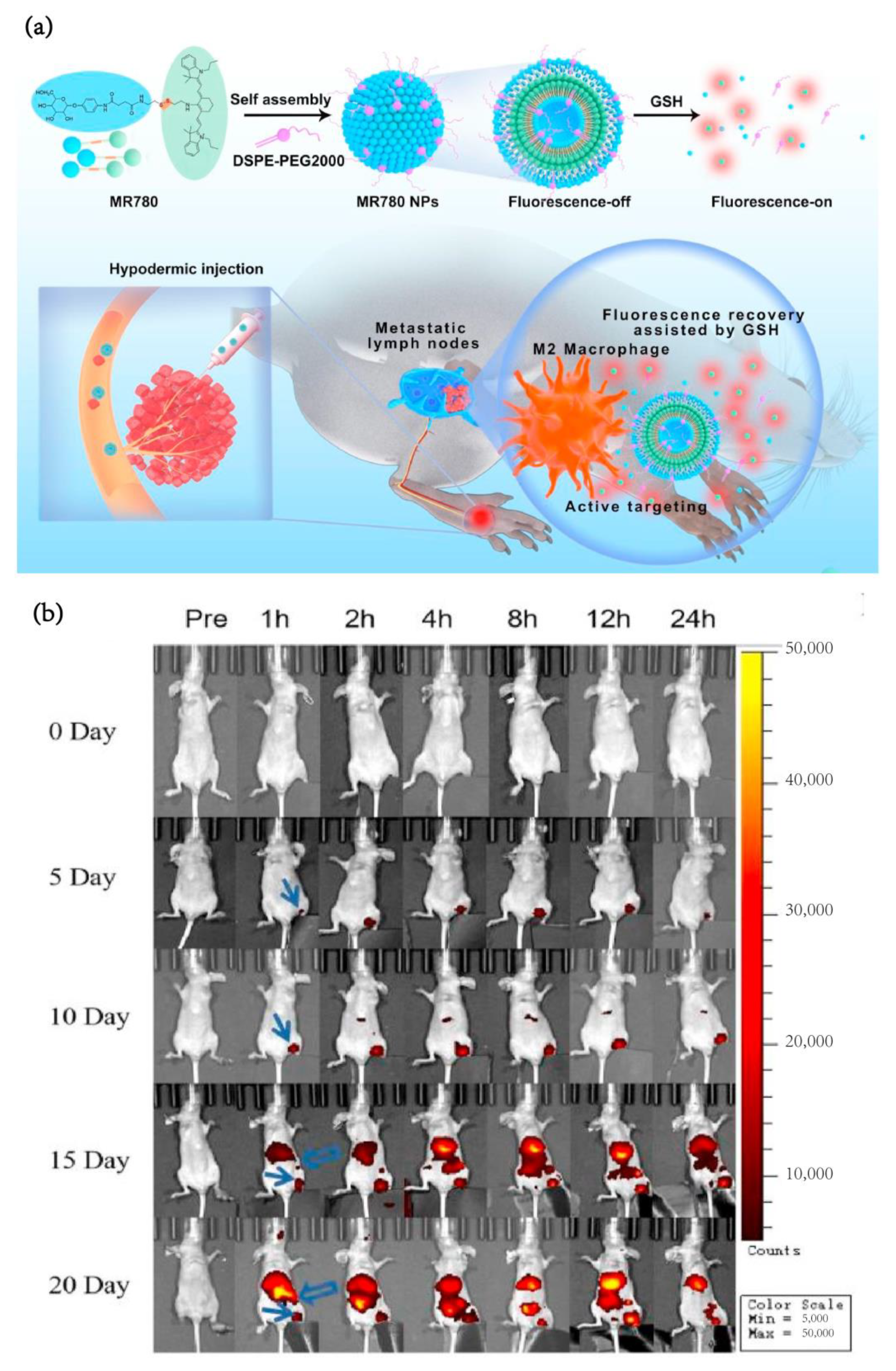 Pharmaceutics 15 00144 g009