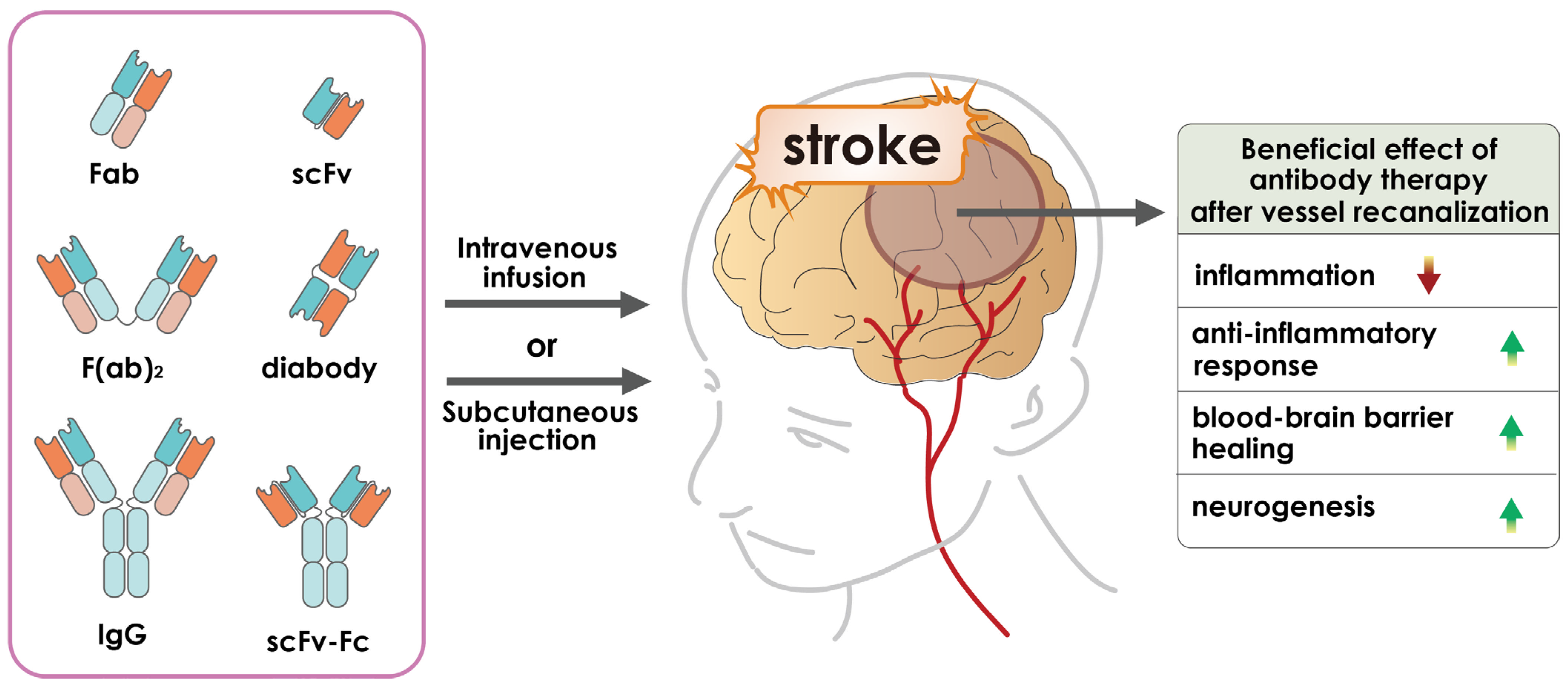 Pharmaceutics 15 00145 g001
