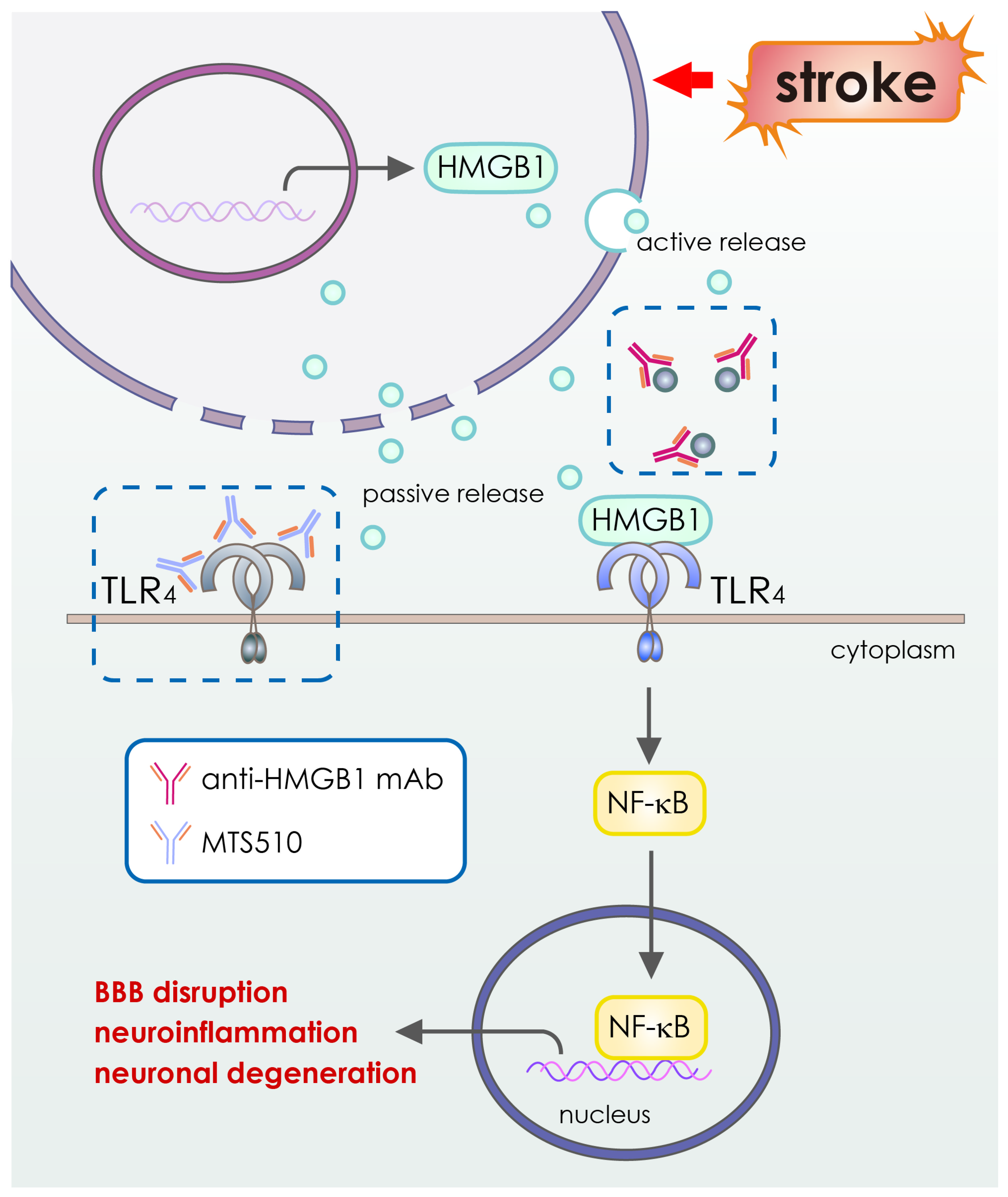 Pharmaceutics 15 00145 g003