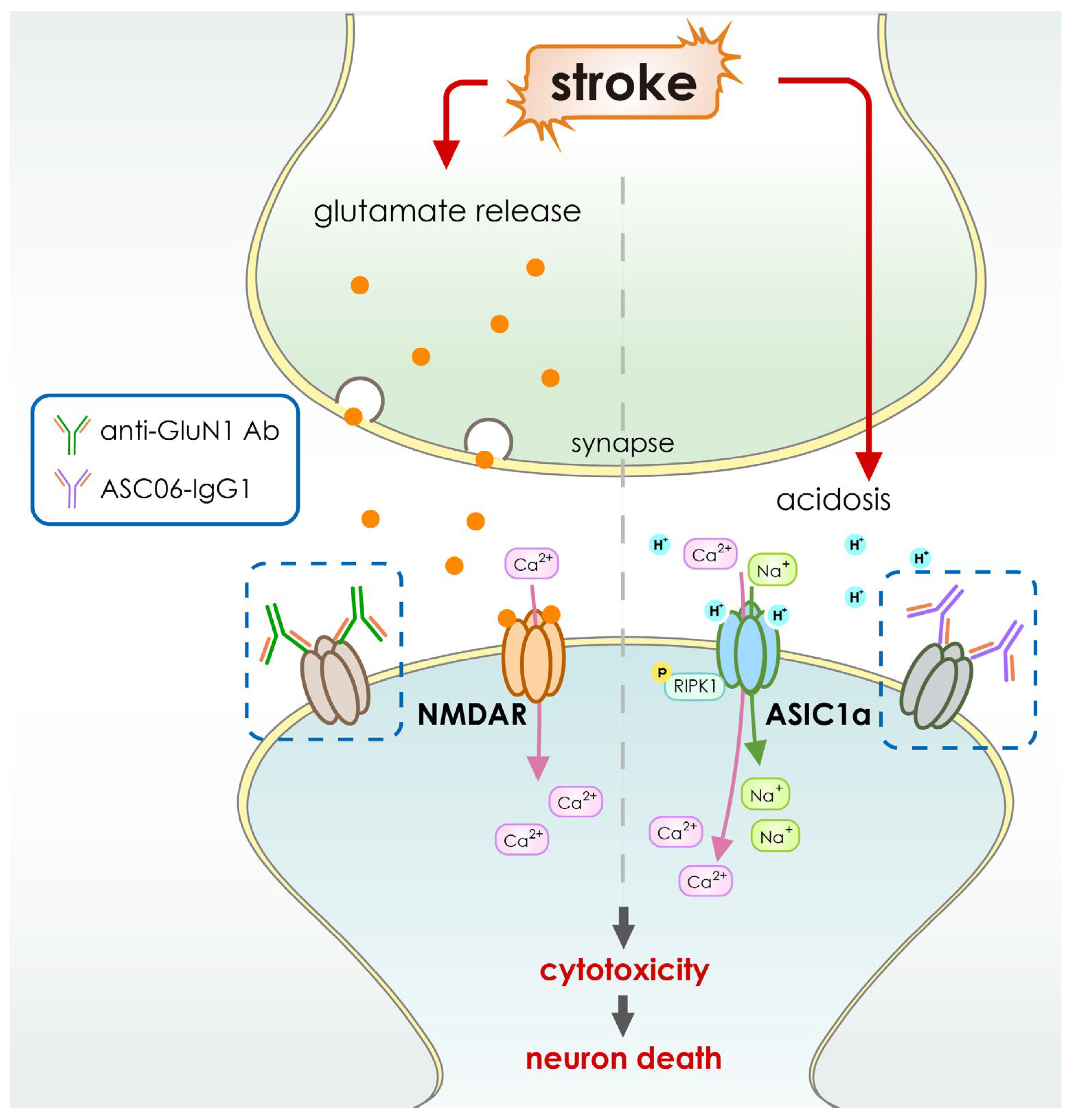 Pharmaceutics 15 00145 g004