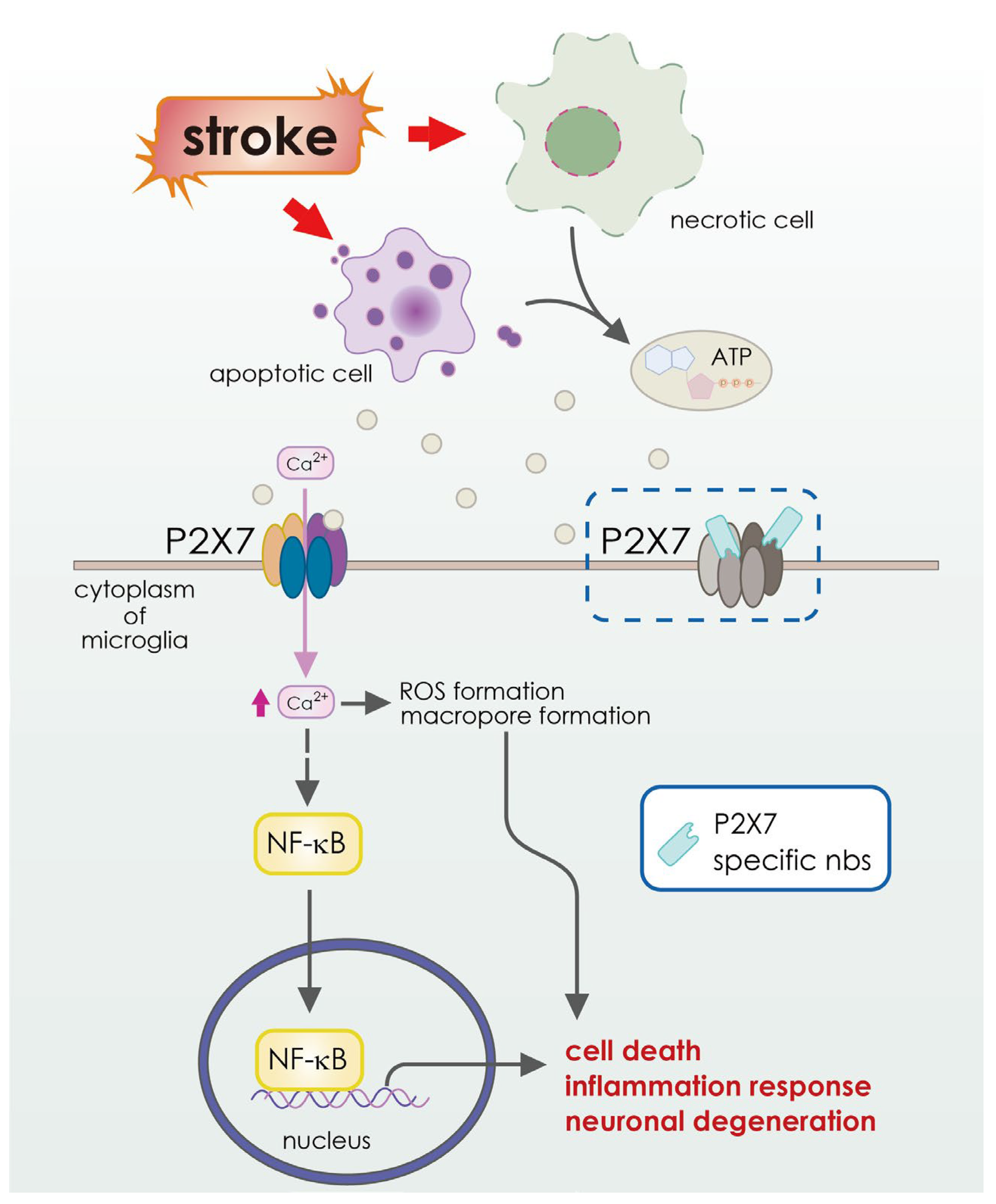 Pharmaceutics 15 00145 g006