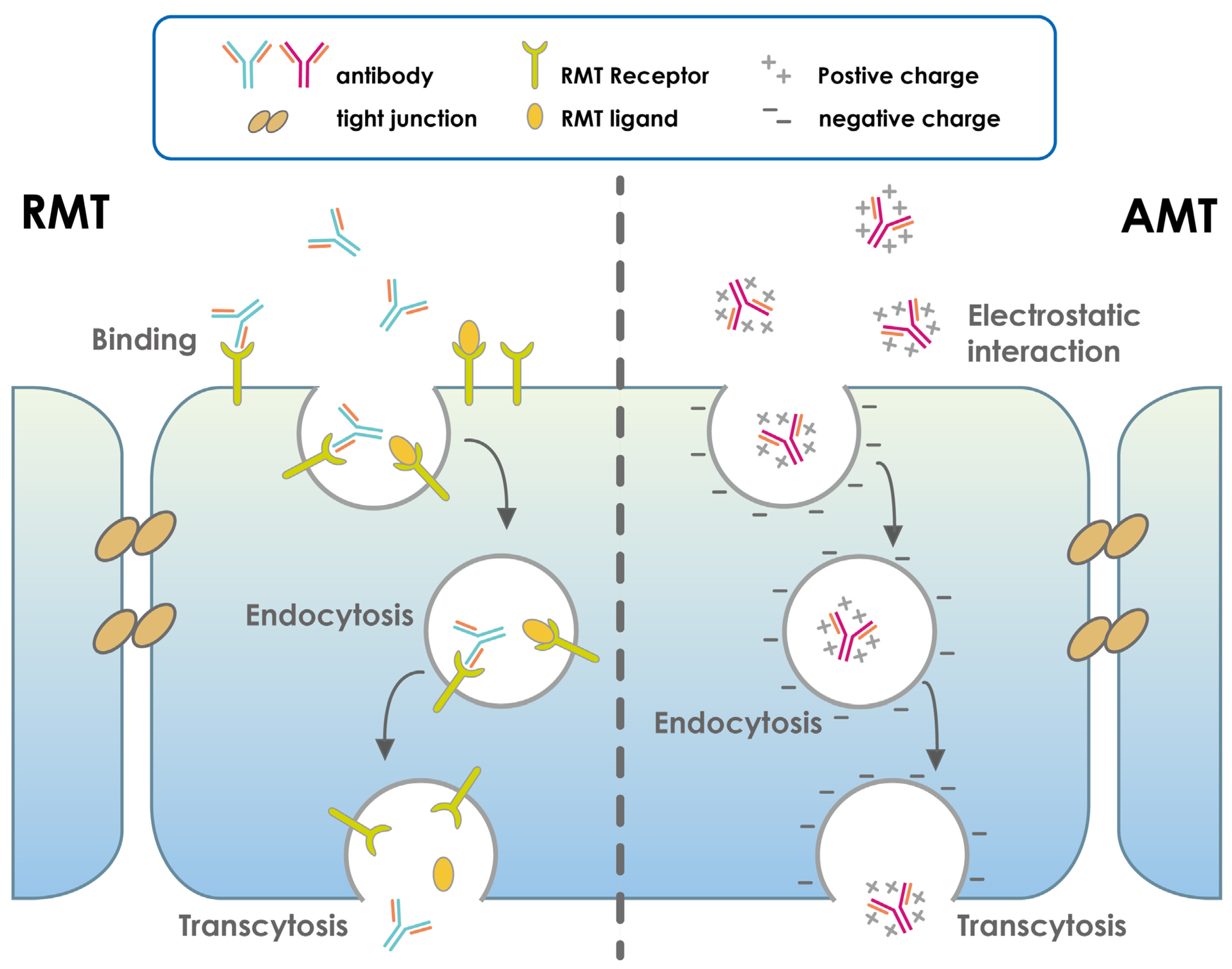Pharmaceutics 15 00145 g007
