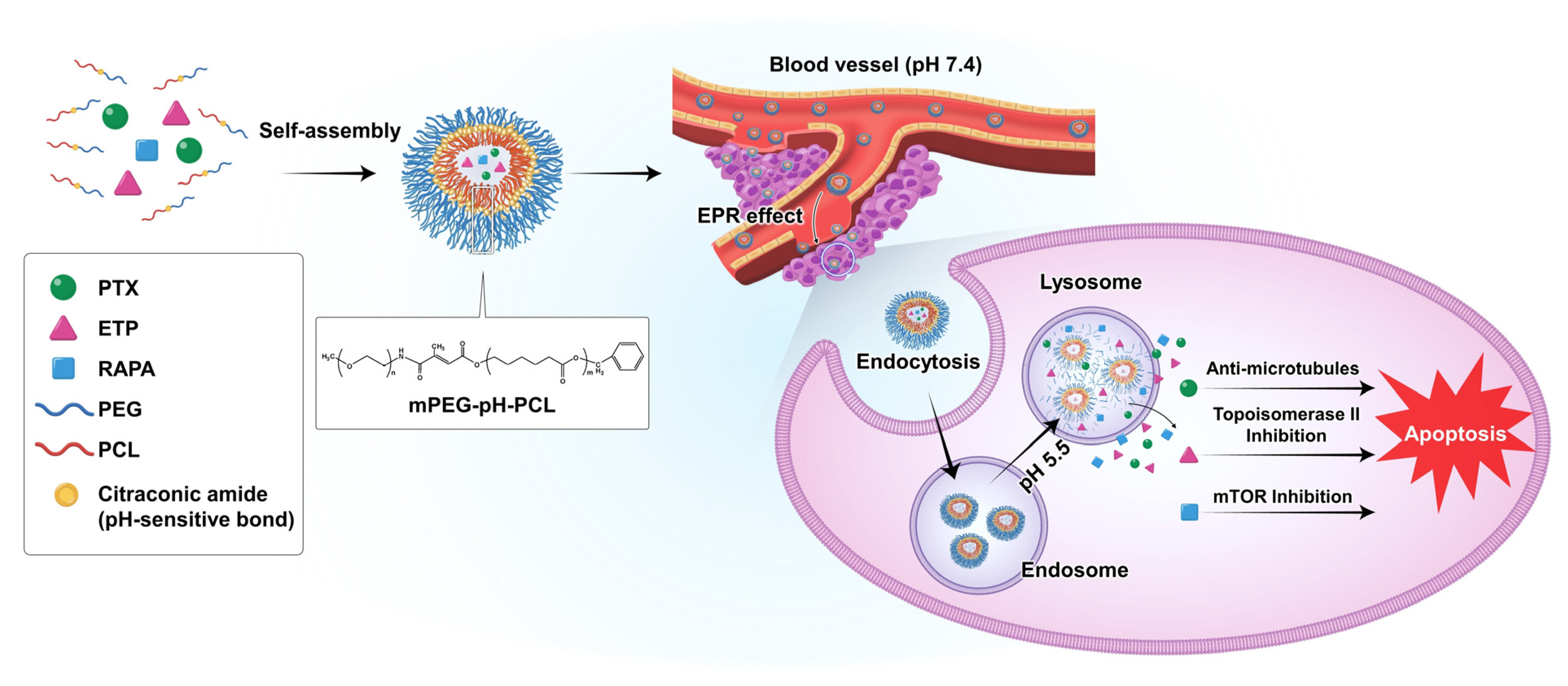 Pharmaceutics 15 00154 g001