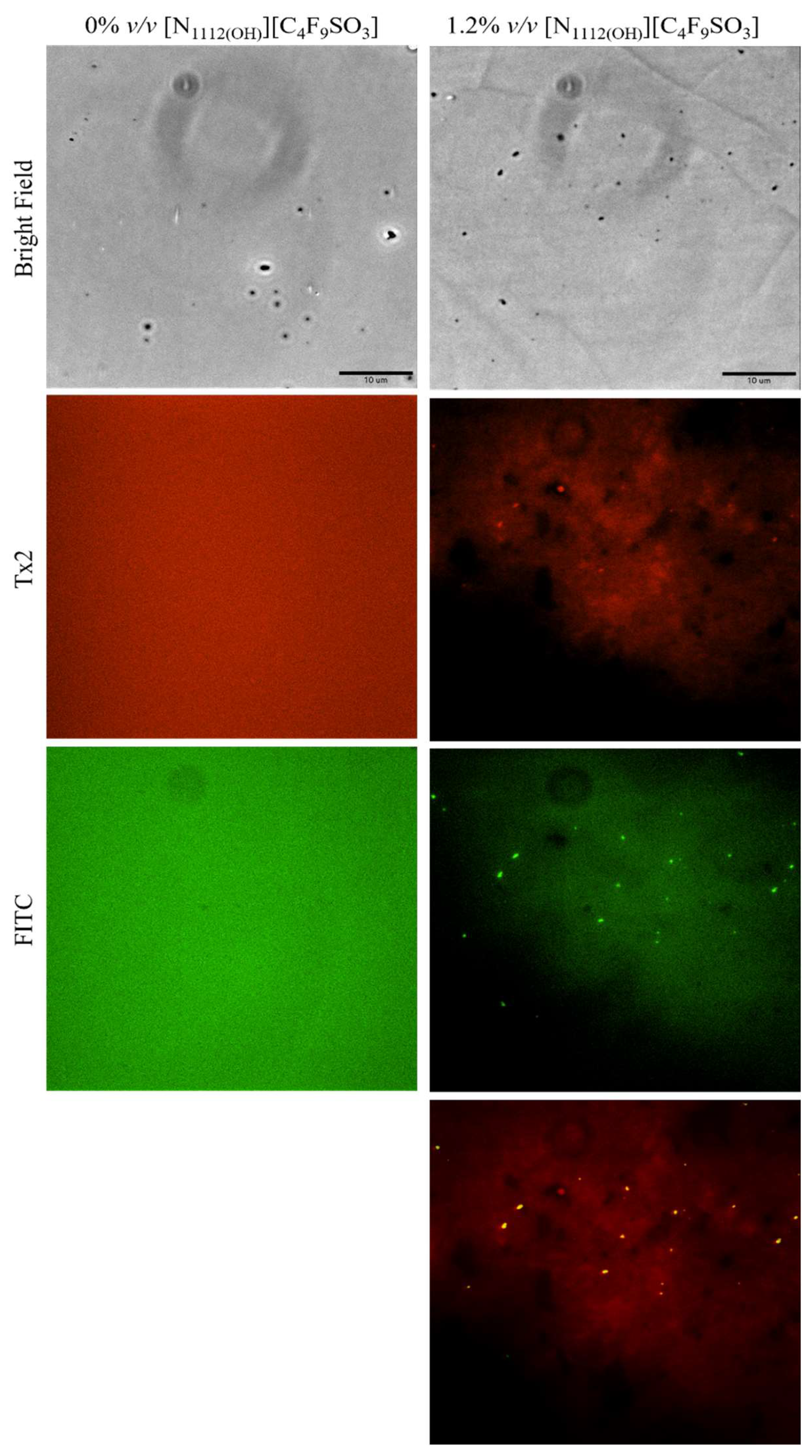 Pharmaceutics 15 00157 g017