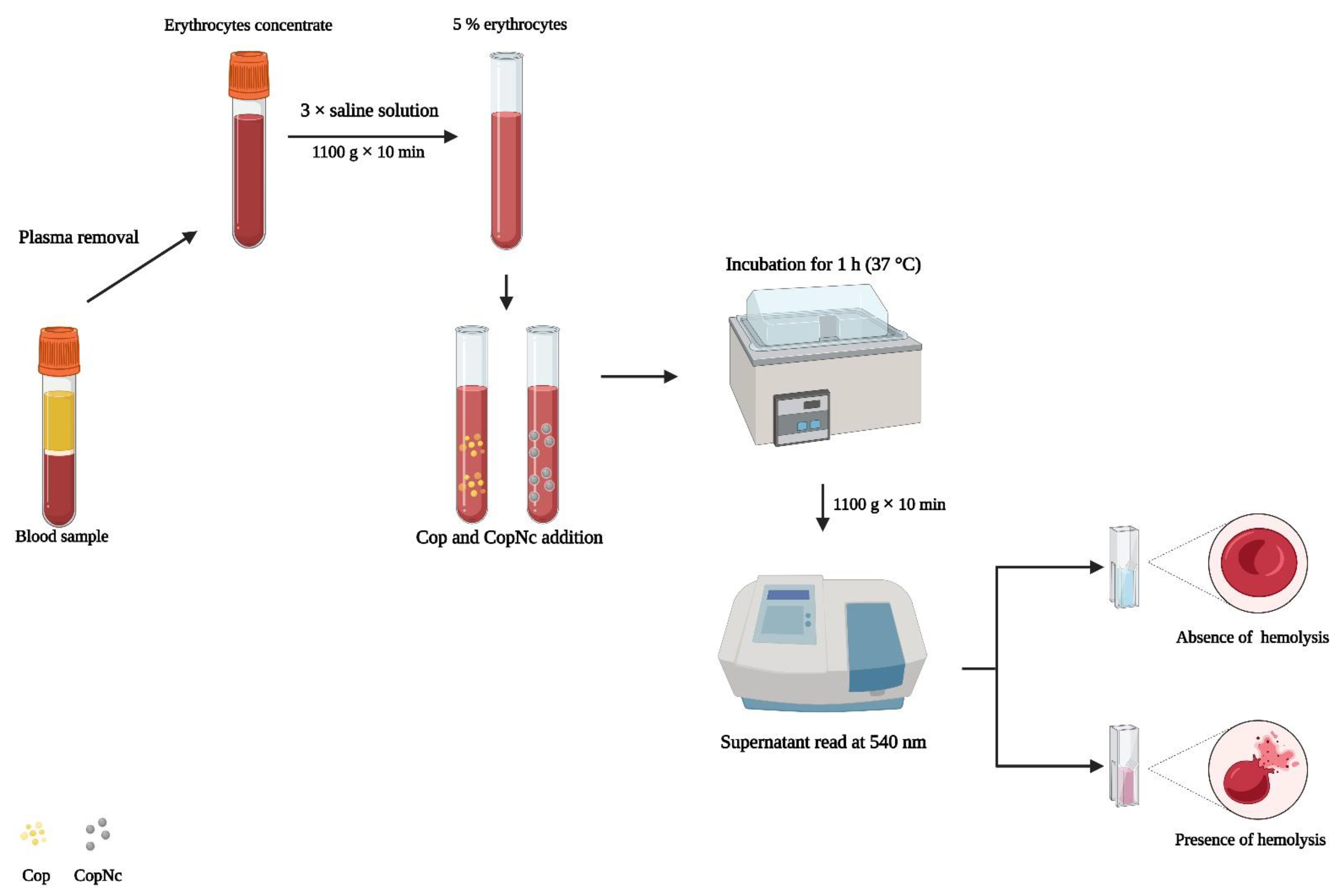 Pharmaceutics 15 00161 sch001 Pharmaceutics 15 00161 sch001