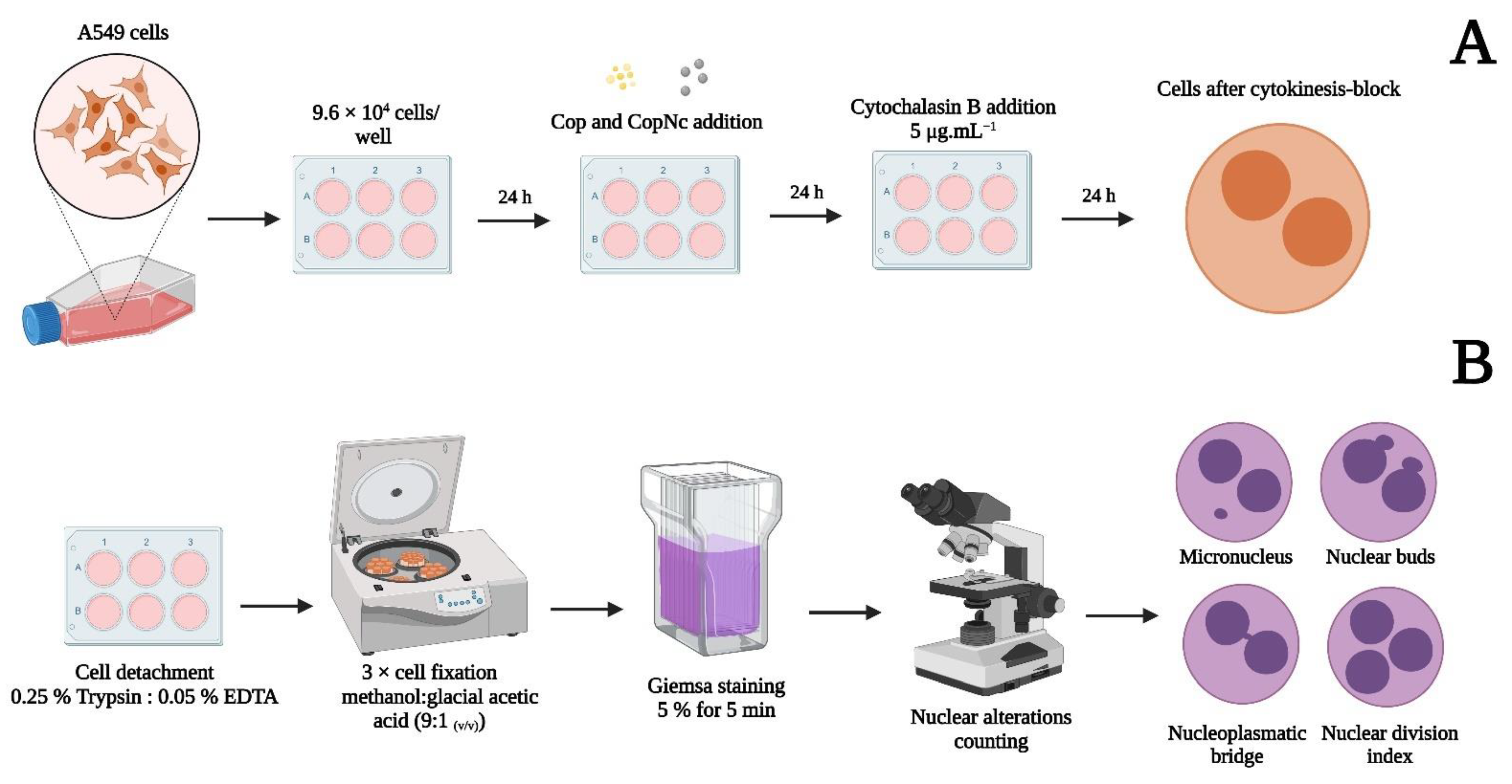 Pharmaceutics 15 00161 sch003 Pharmaceutics 15 00161 sch003