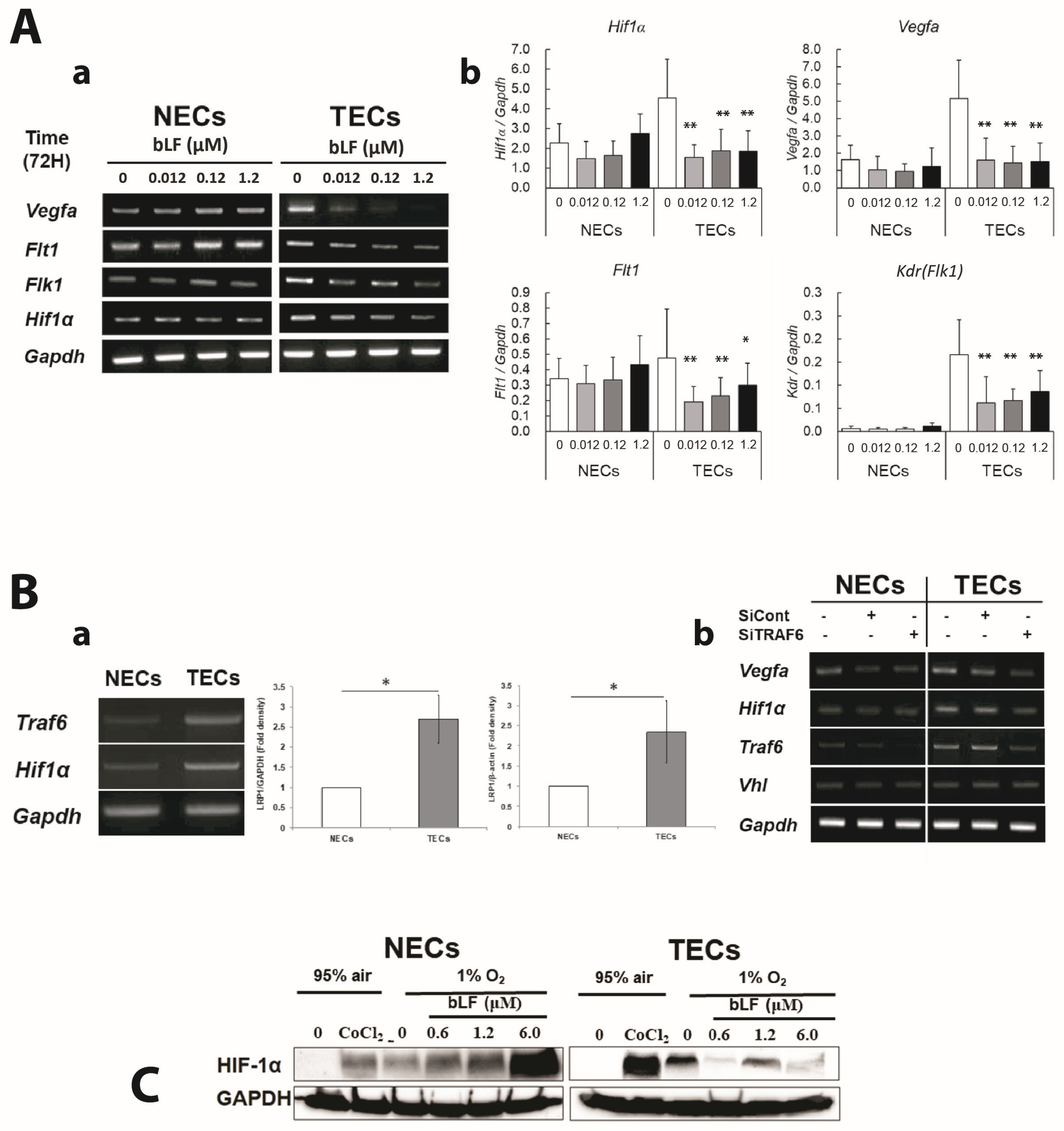 Pharmaceutics 15 00165 g005 Pharmaceutics 15 00165 g005