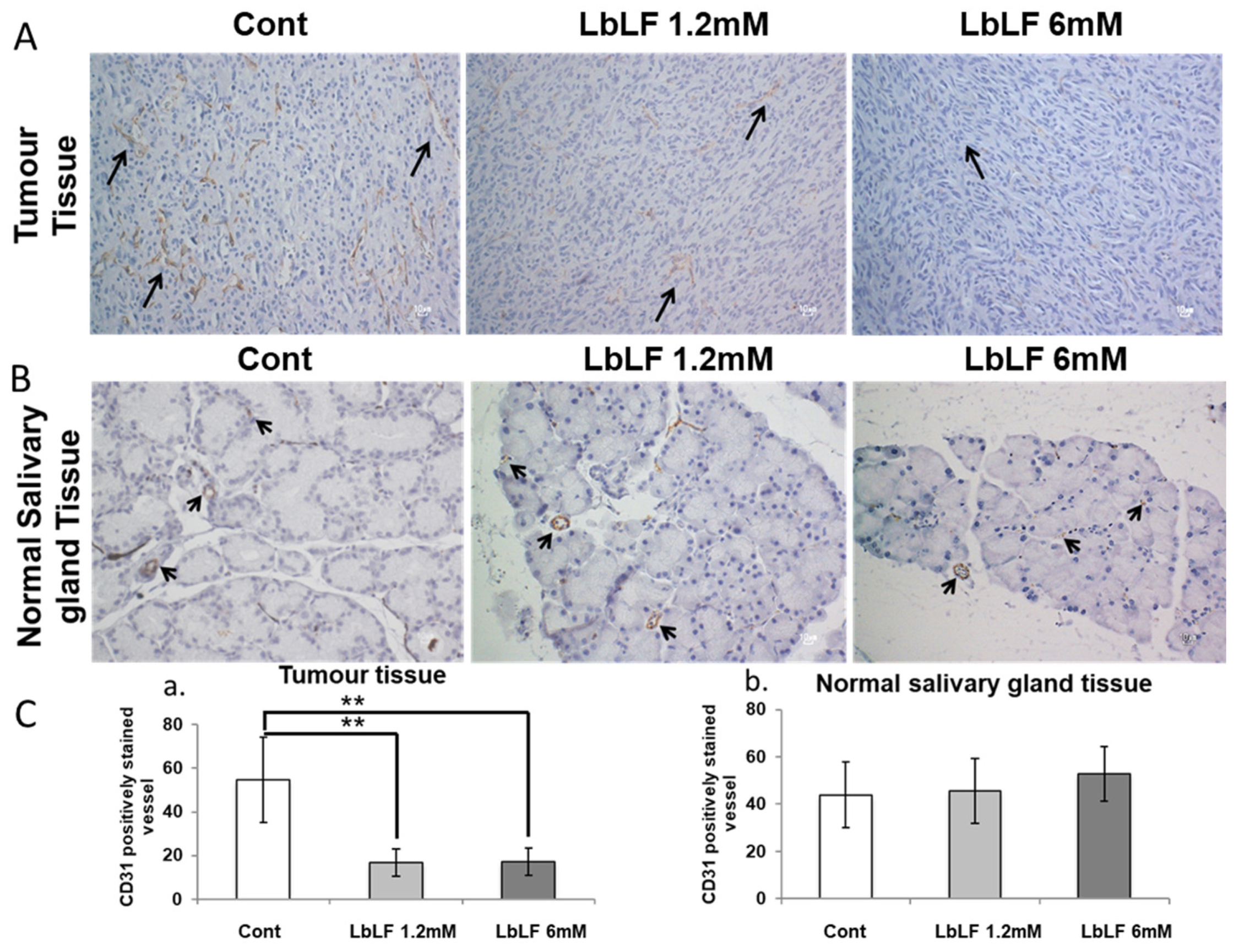 Pharmaceutics 15 00165 g006 Pharmaceutics 15 00165 g006