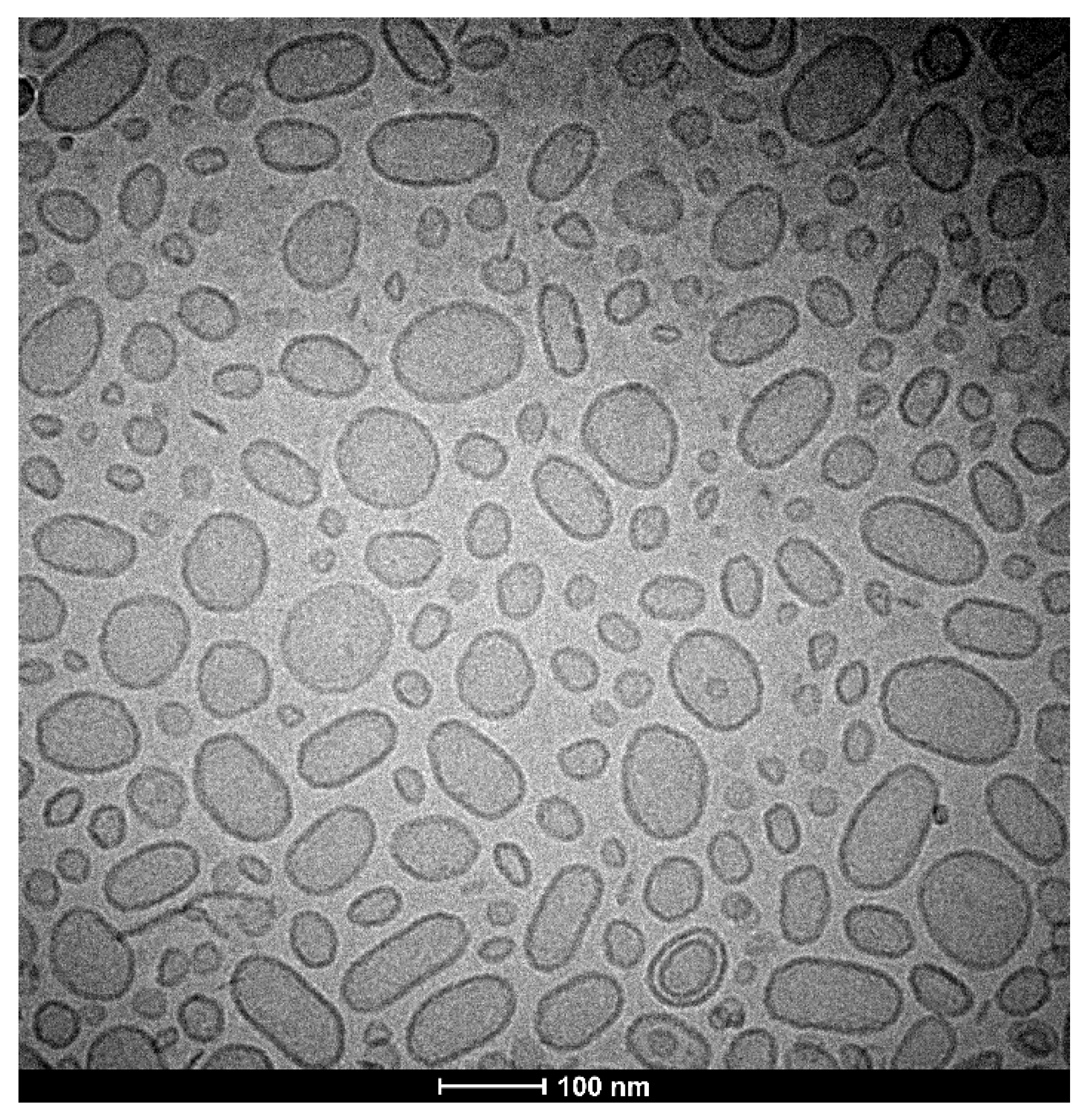 Pharmaceutics 15 00179 g005