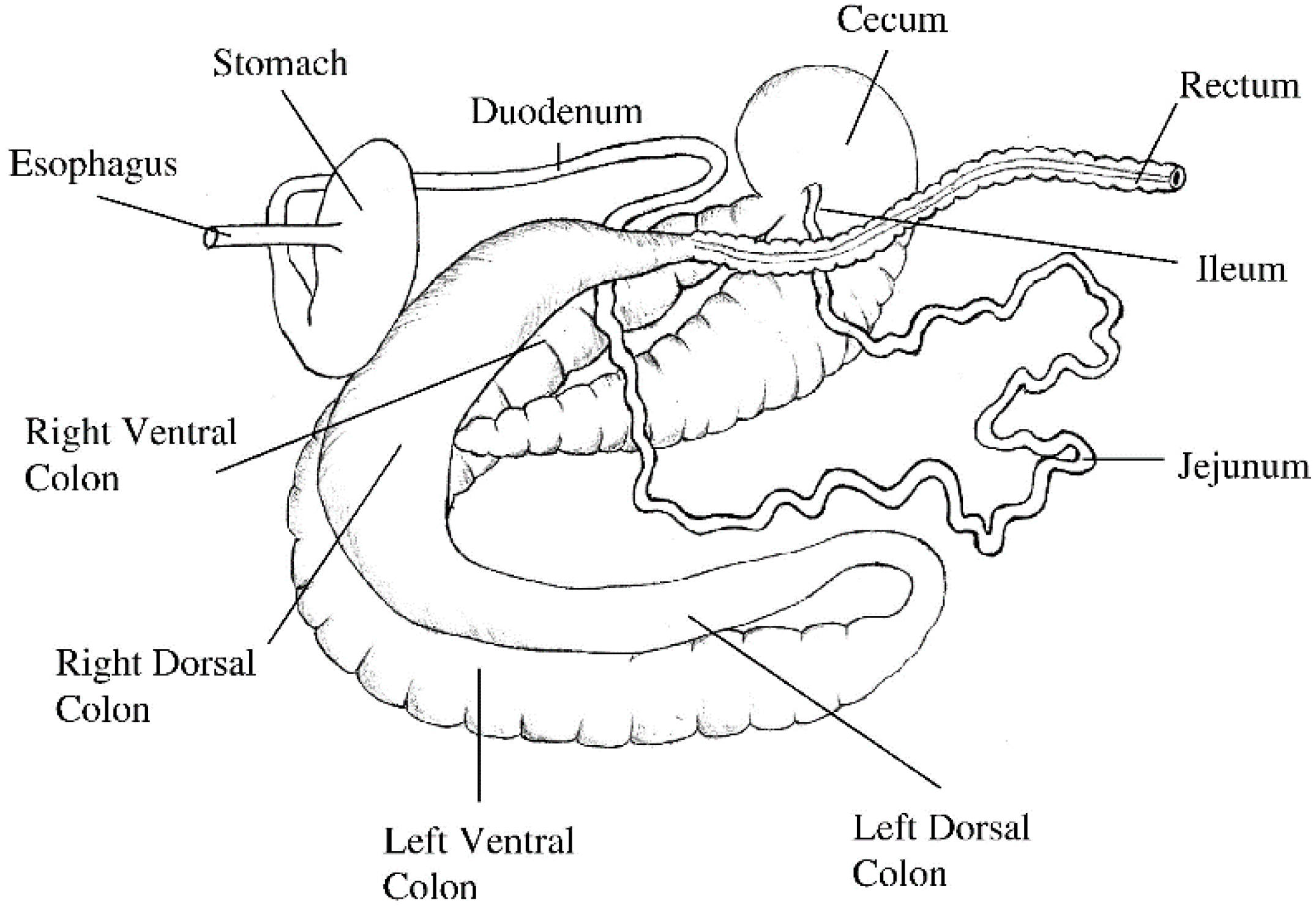 Pharmaceutics 15 00186 g001