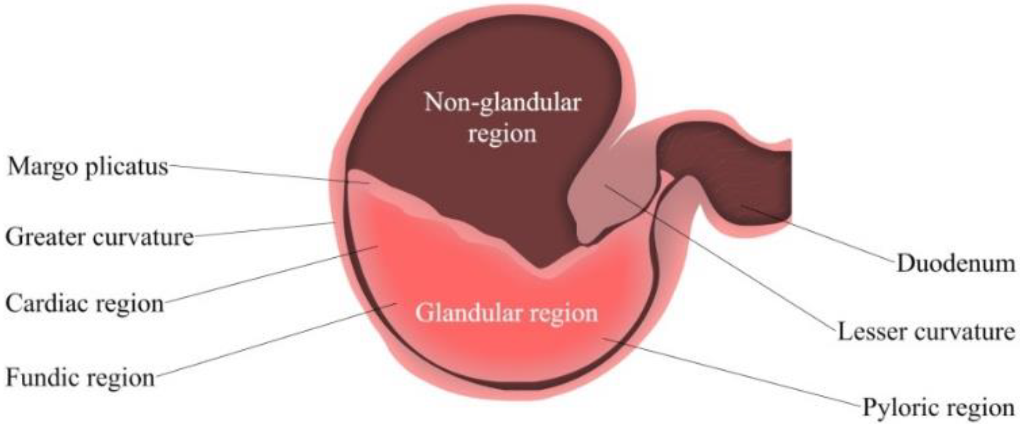 Pharmaceutics 15 00186 g002