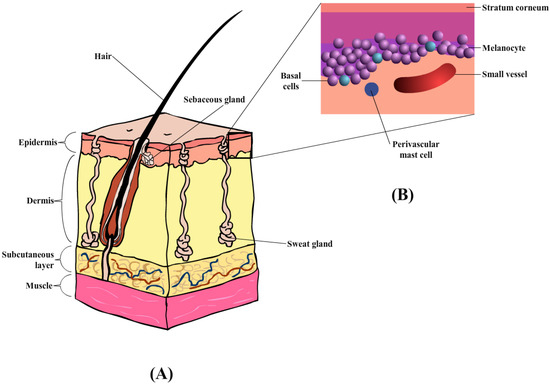 Pharmaceutics 15 00186 g003