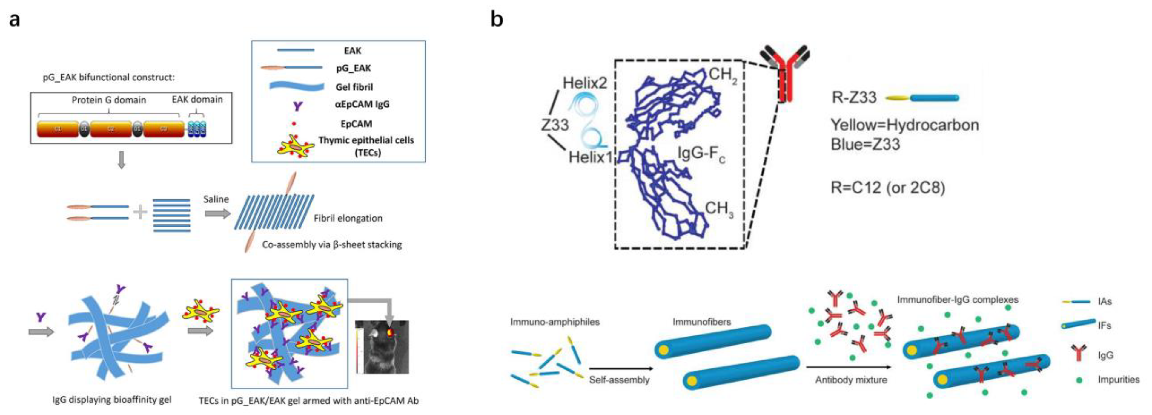Pharmaceutics 15 00187 g002