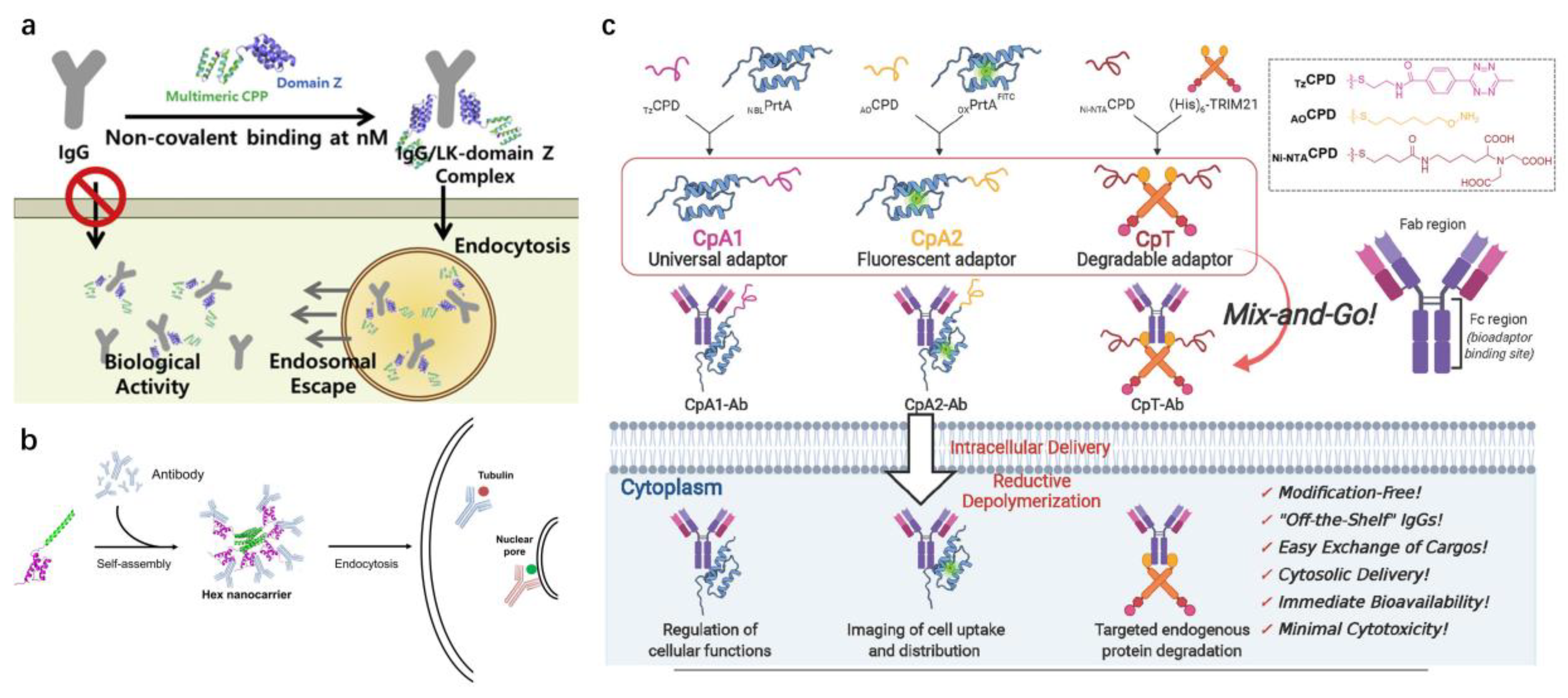 Pharmaceutics 15 00187 g003