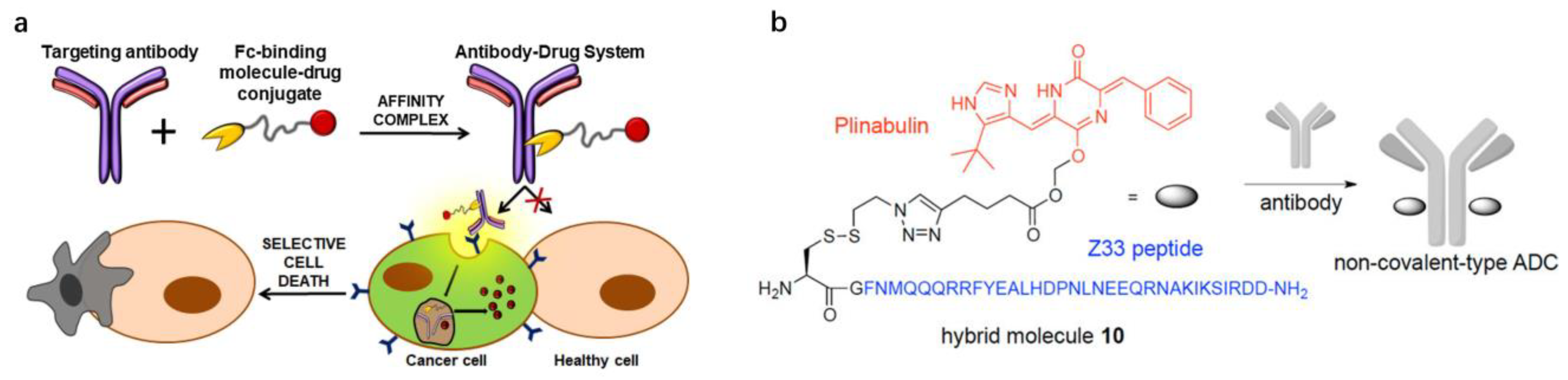 Pharmaceutics 15 00187 g004