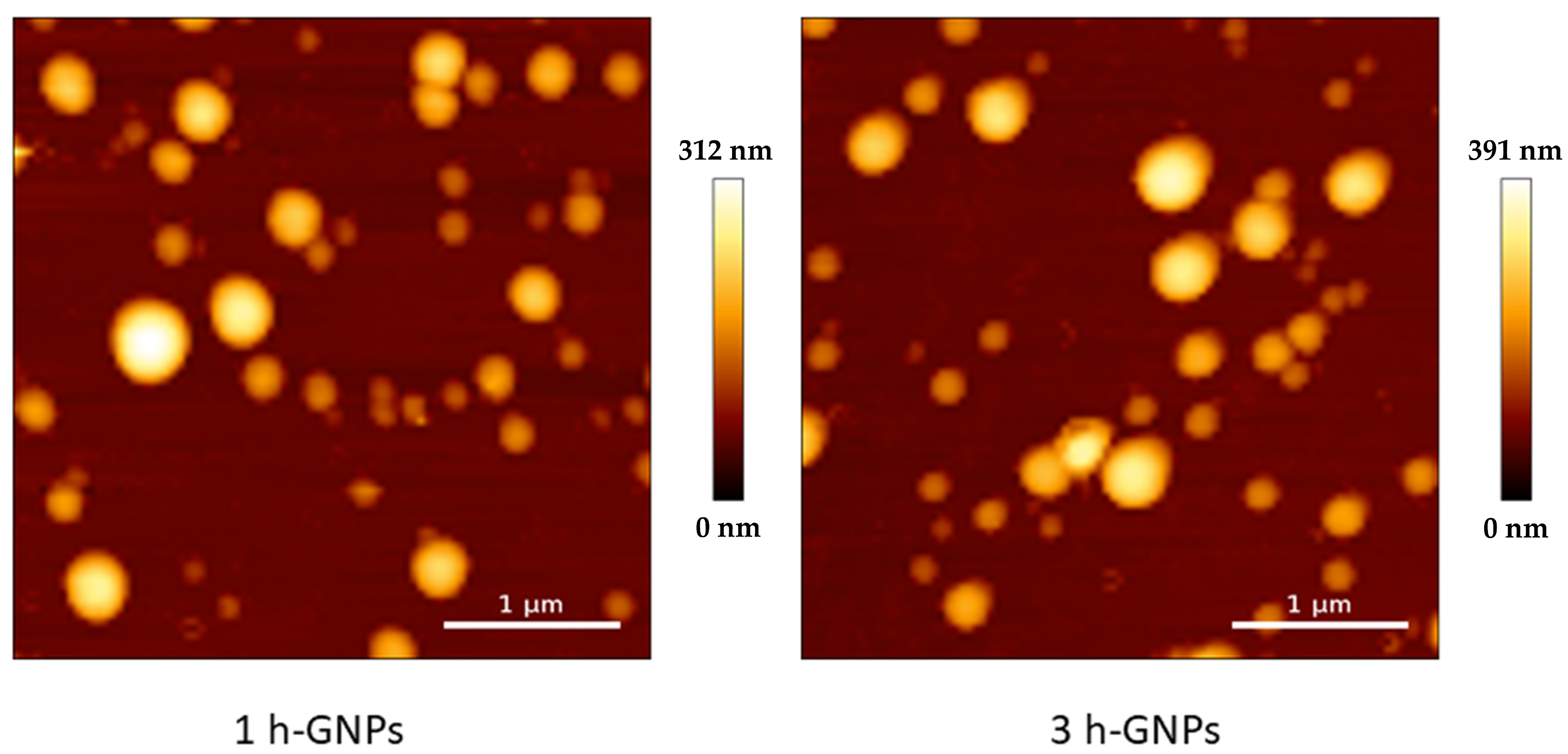 Pharmaceutics 15 00199 g002