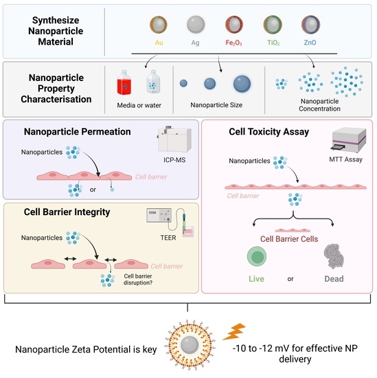 Identification of Nanoparticle Properties for Optimal Drug Delivery ...