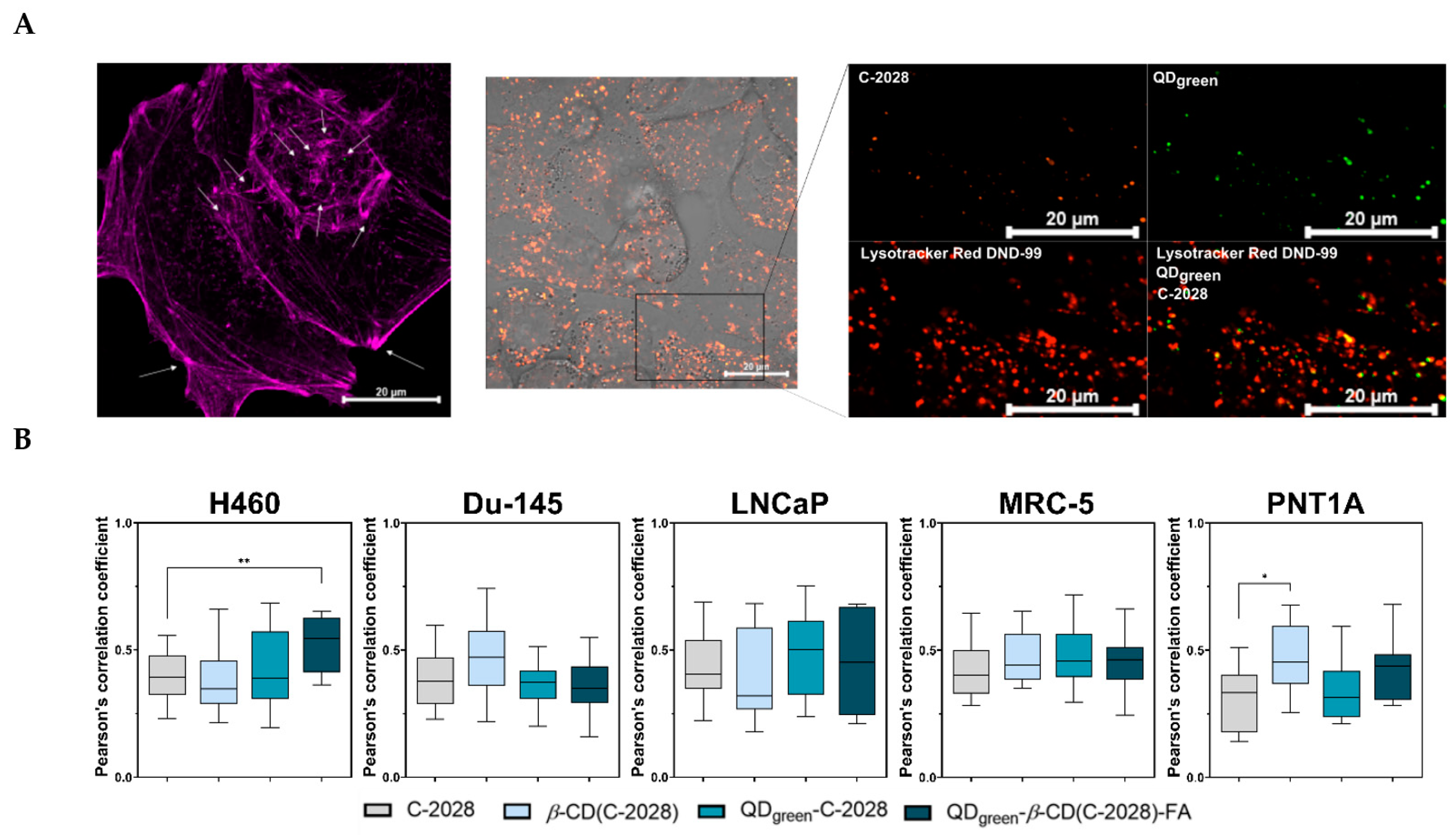 Pharmaceutics 15 00201 g005