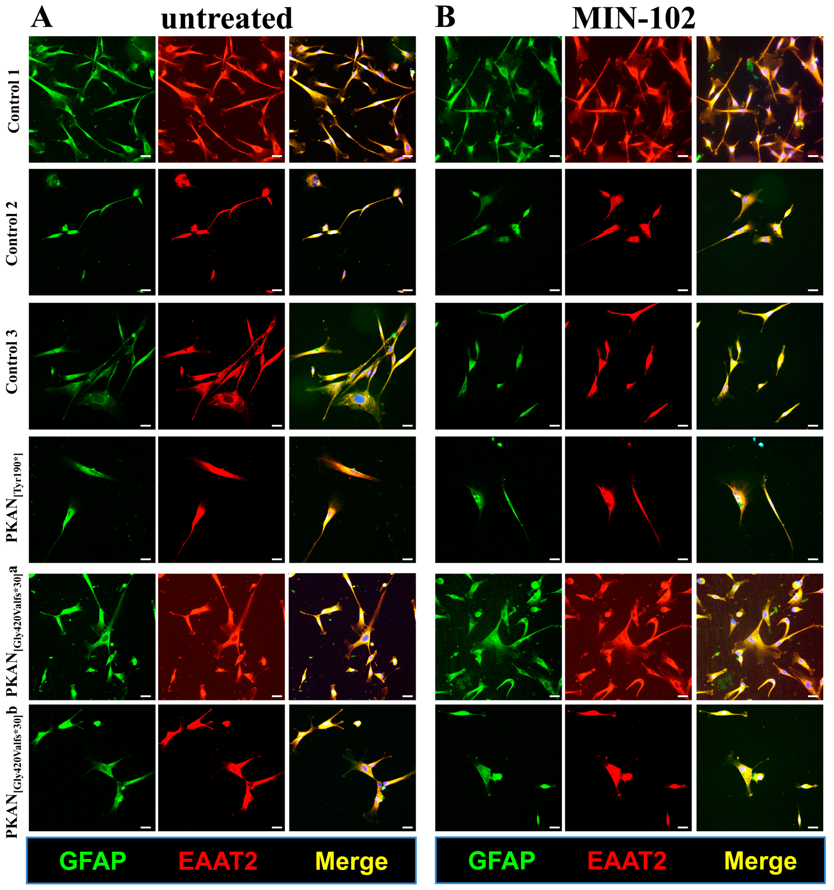 Pharmaceutics 15 00202 g001 Pharmaceutics 15 00202 g001