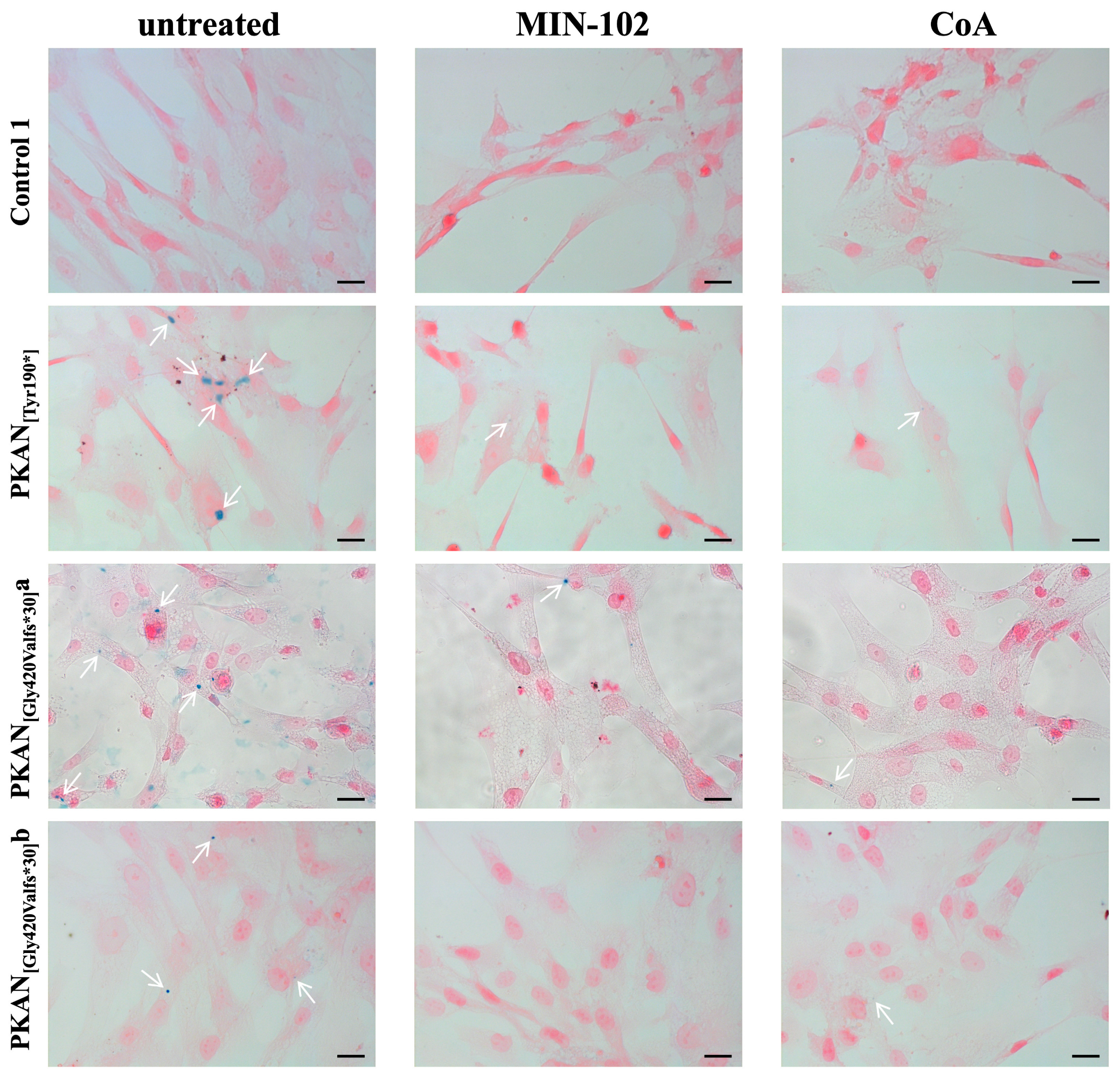 Pharmaceutics 15 00202 g005 Pharmaceutics 15 00202 g005