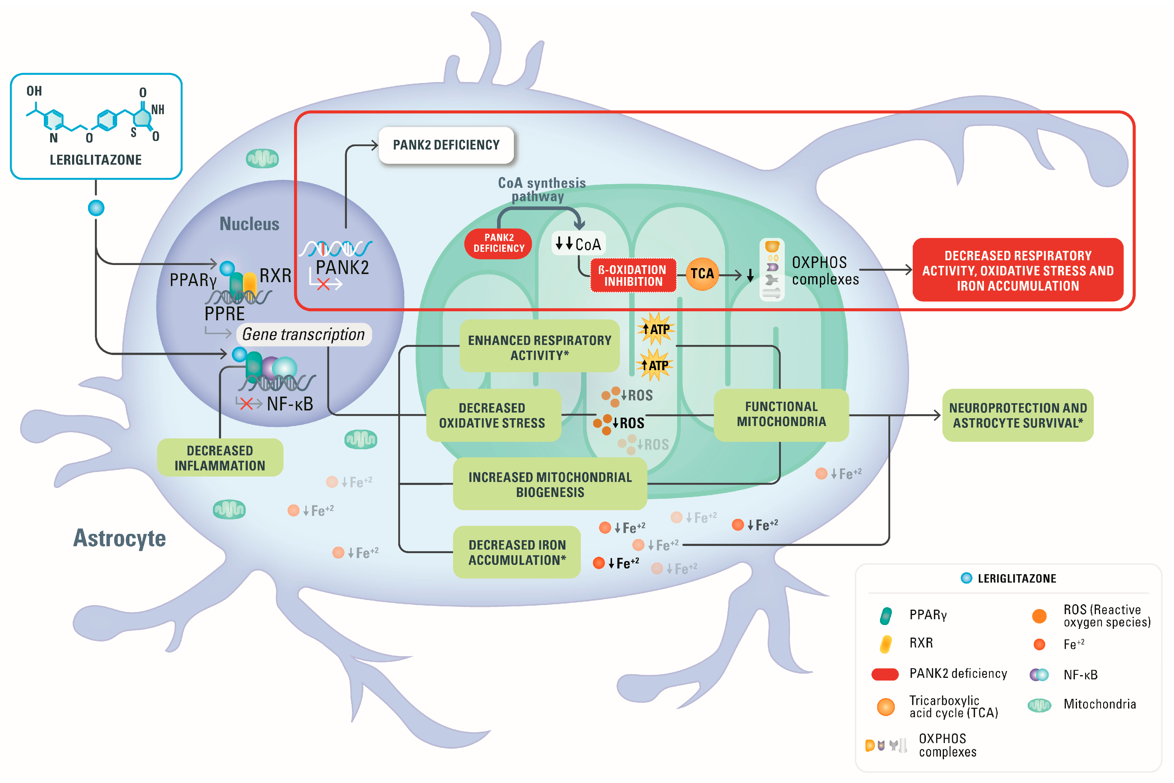 Pharmaceutics 15 00202 g006 Pharmaceutics 15 00202 g006