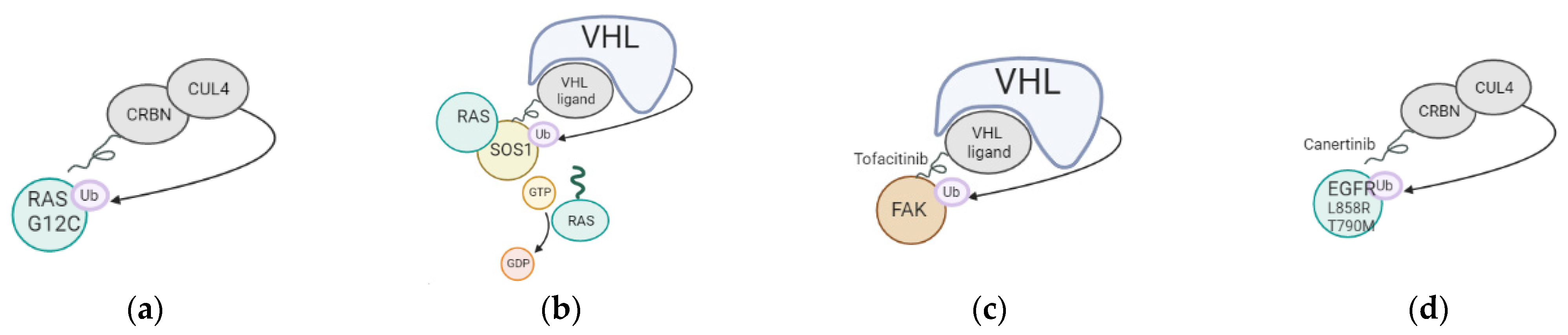 Pharmaceutics 15 00206 g001 Pharmaceutics 15 00206 g001