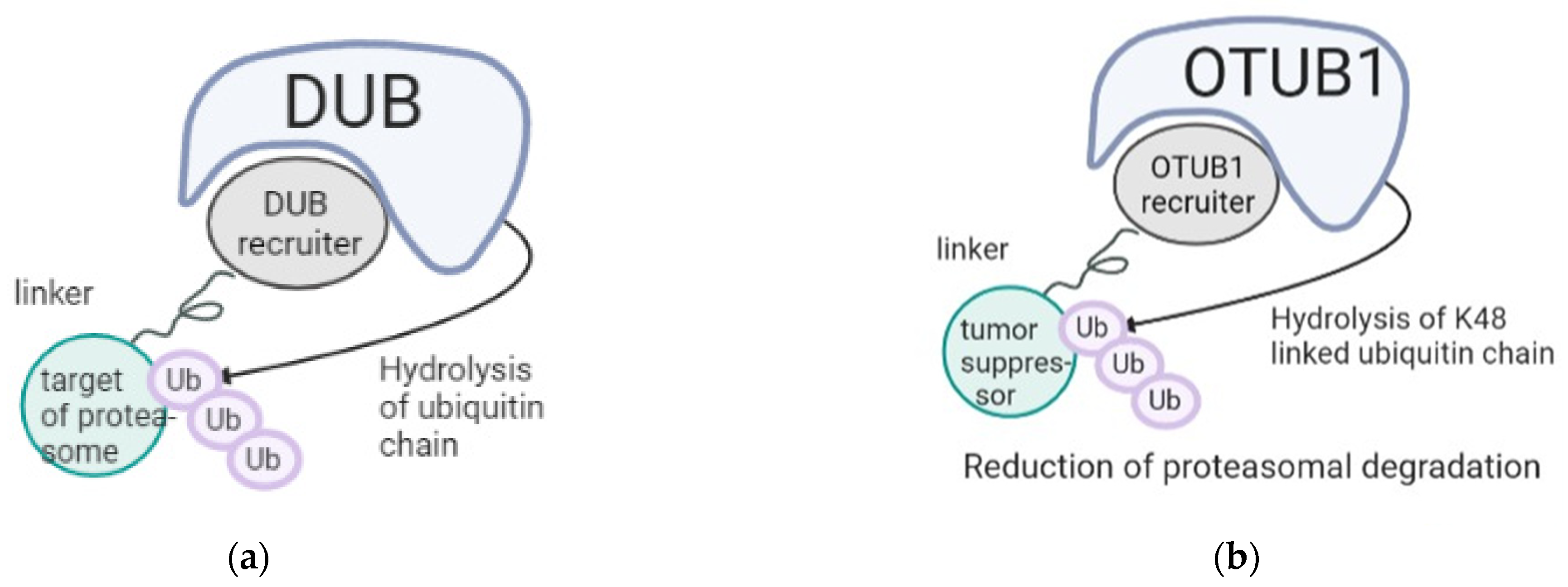 Pharmaceutics 15 00206 g002 Pharmaceutics 15 00206 g002