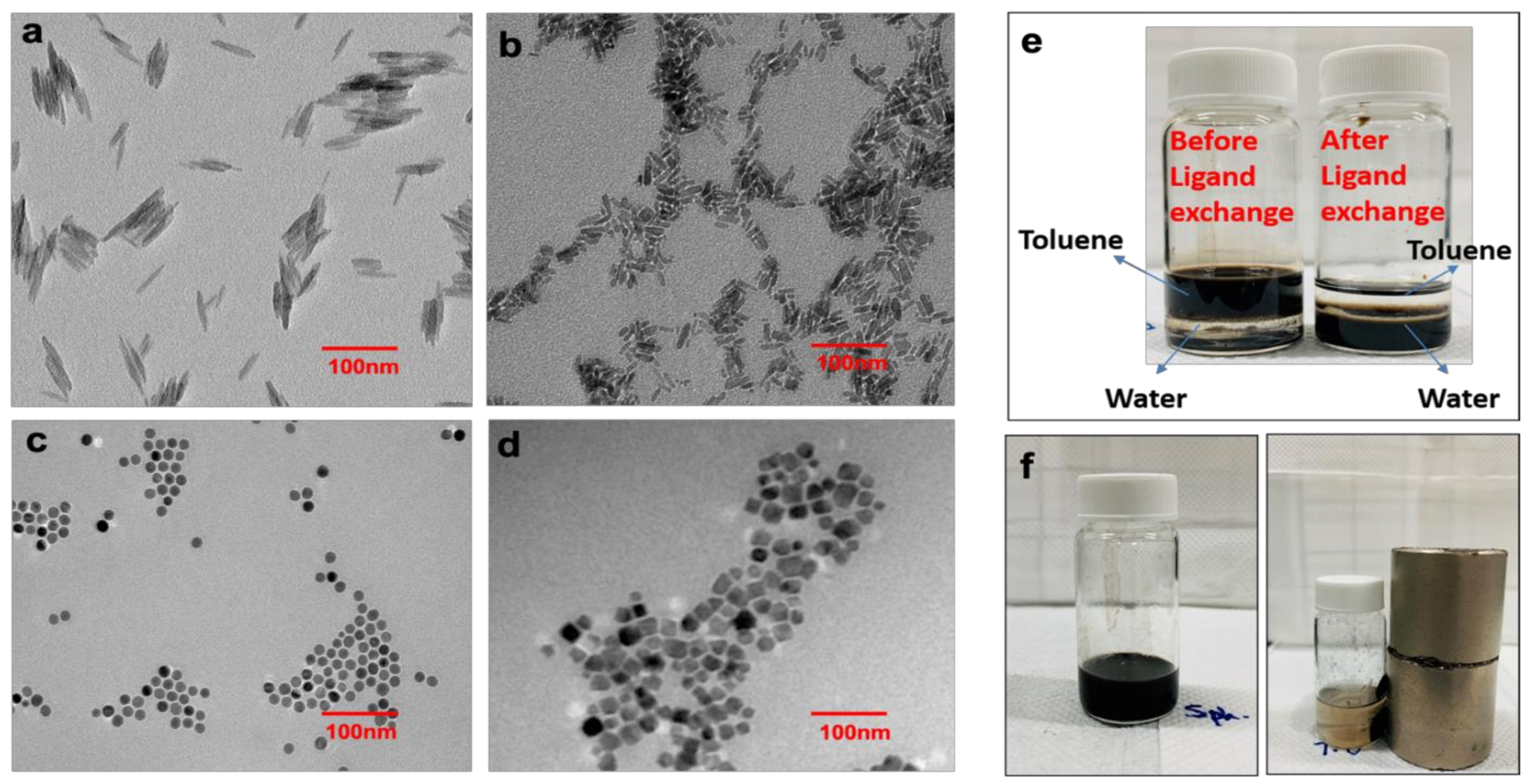 Pharmaceutics 15 00215 g001 Pharmaceutics 15 00215 g001