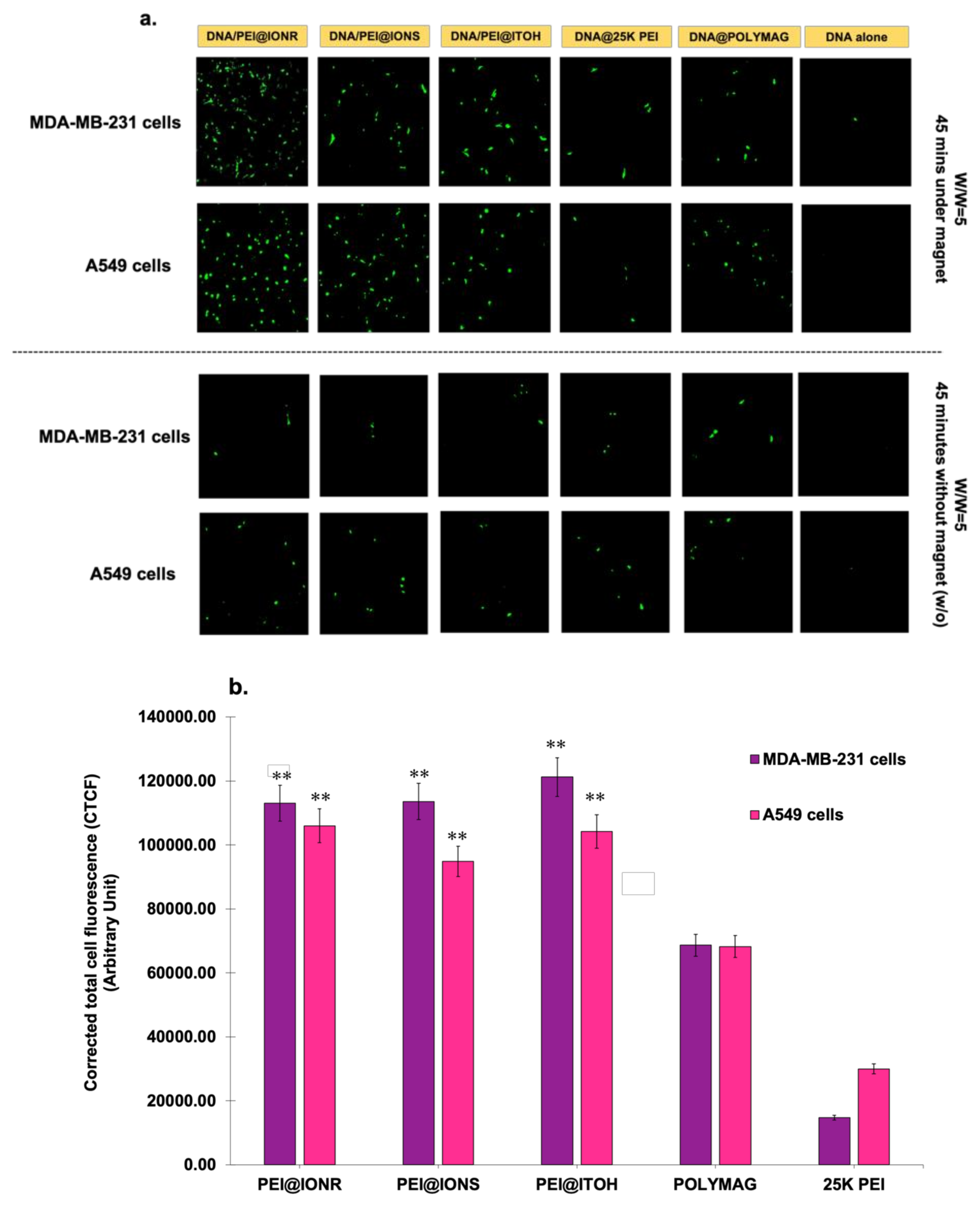Pharmaceutics 15 00215 g003 Pharmaceutics 15 00215 g003