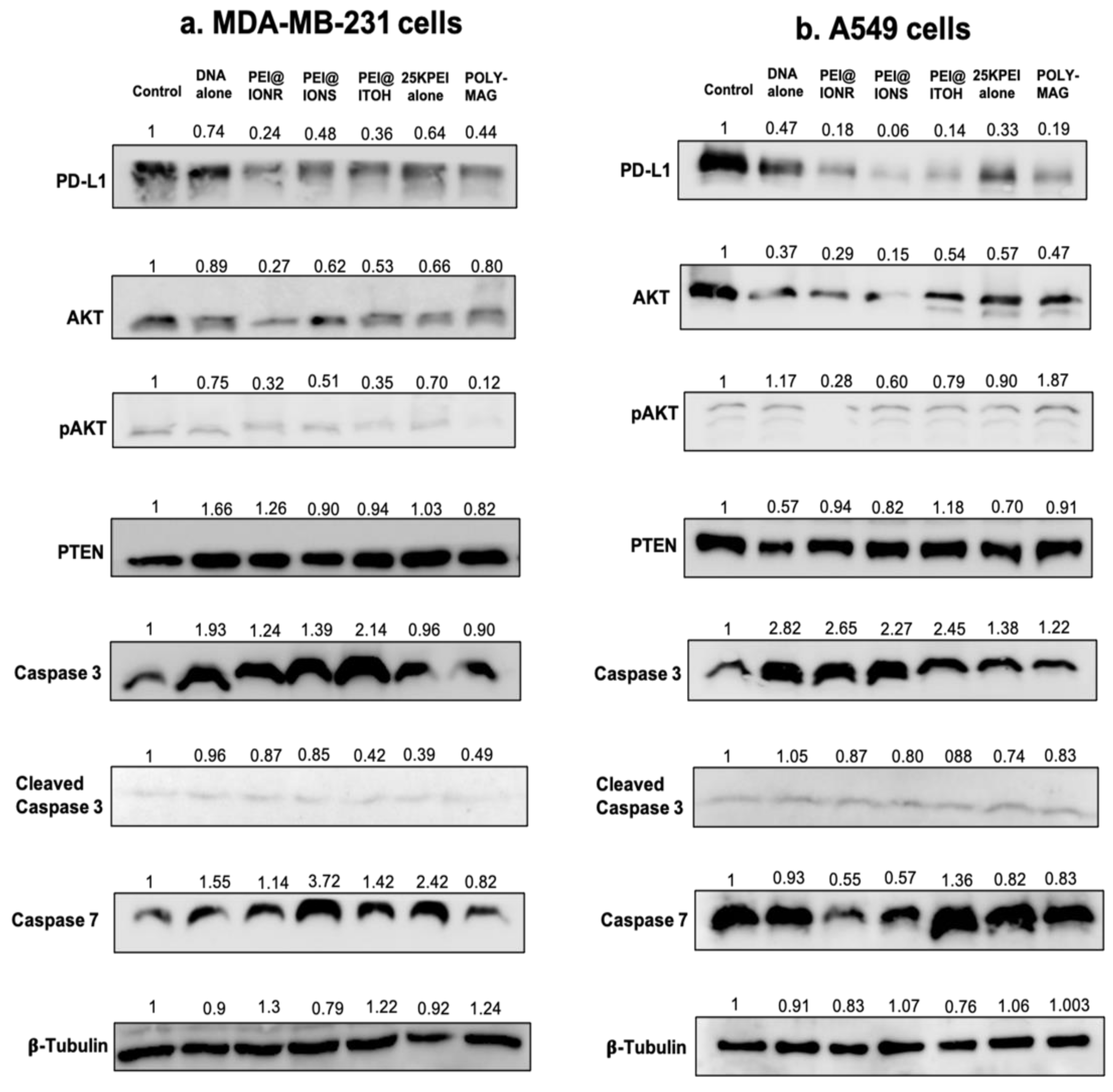 Pharmaceutics 15 00215 g004 Pharmaceutics 15 00215 g004