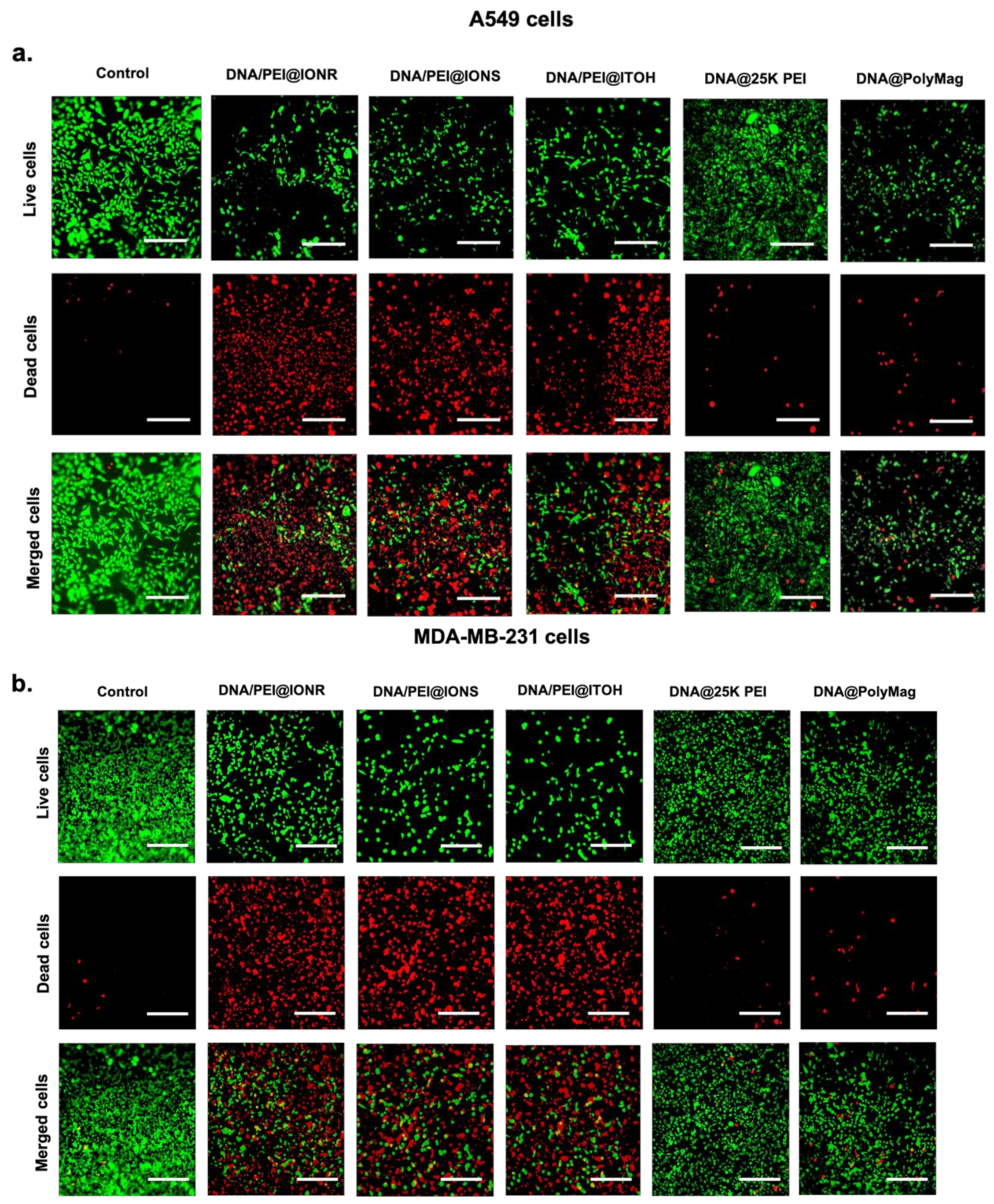 Pharmaceutics 15 00215 g005 Pharmaceutics 15 00215 g005