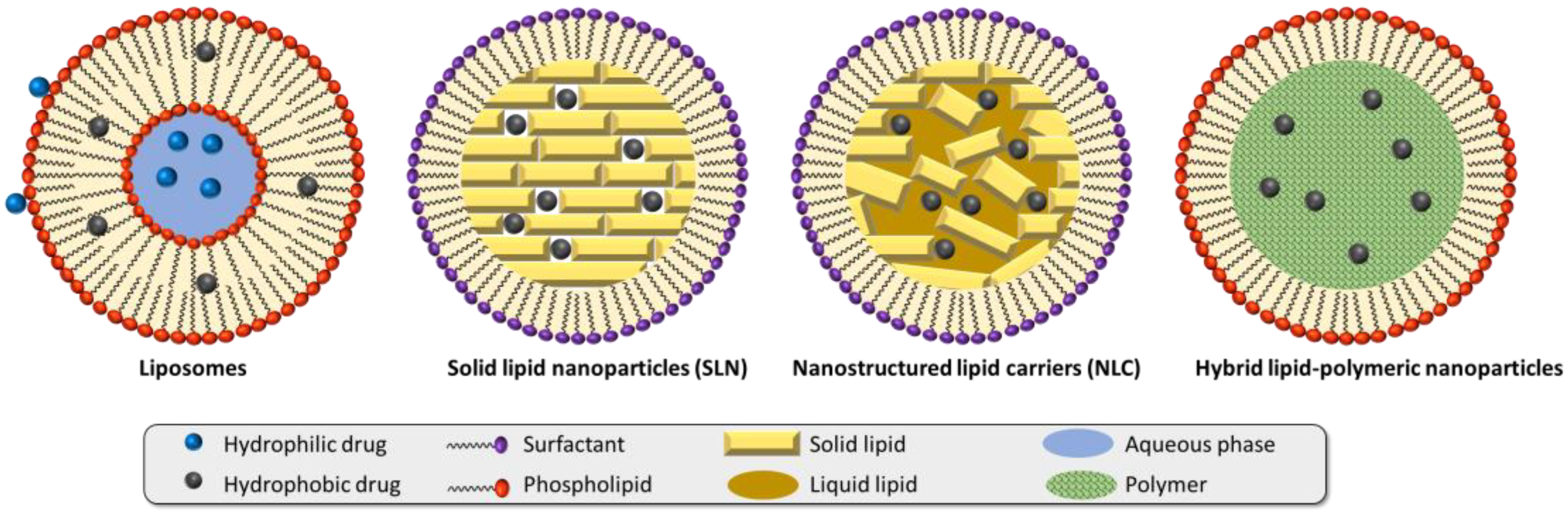 Pharmaceutics 15 00216 g001