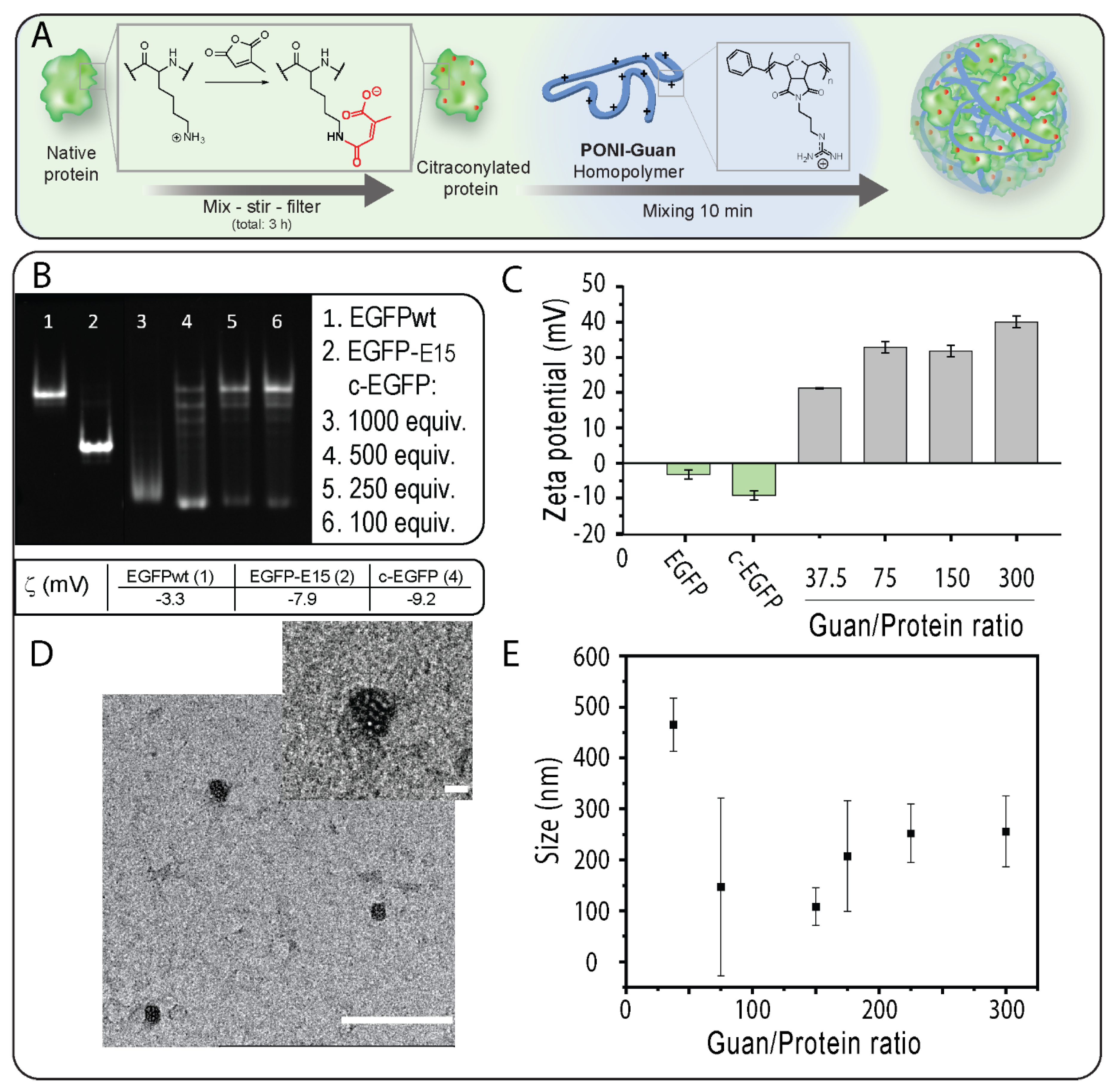 Pharmaceutics 15 00218 g001