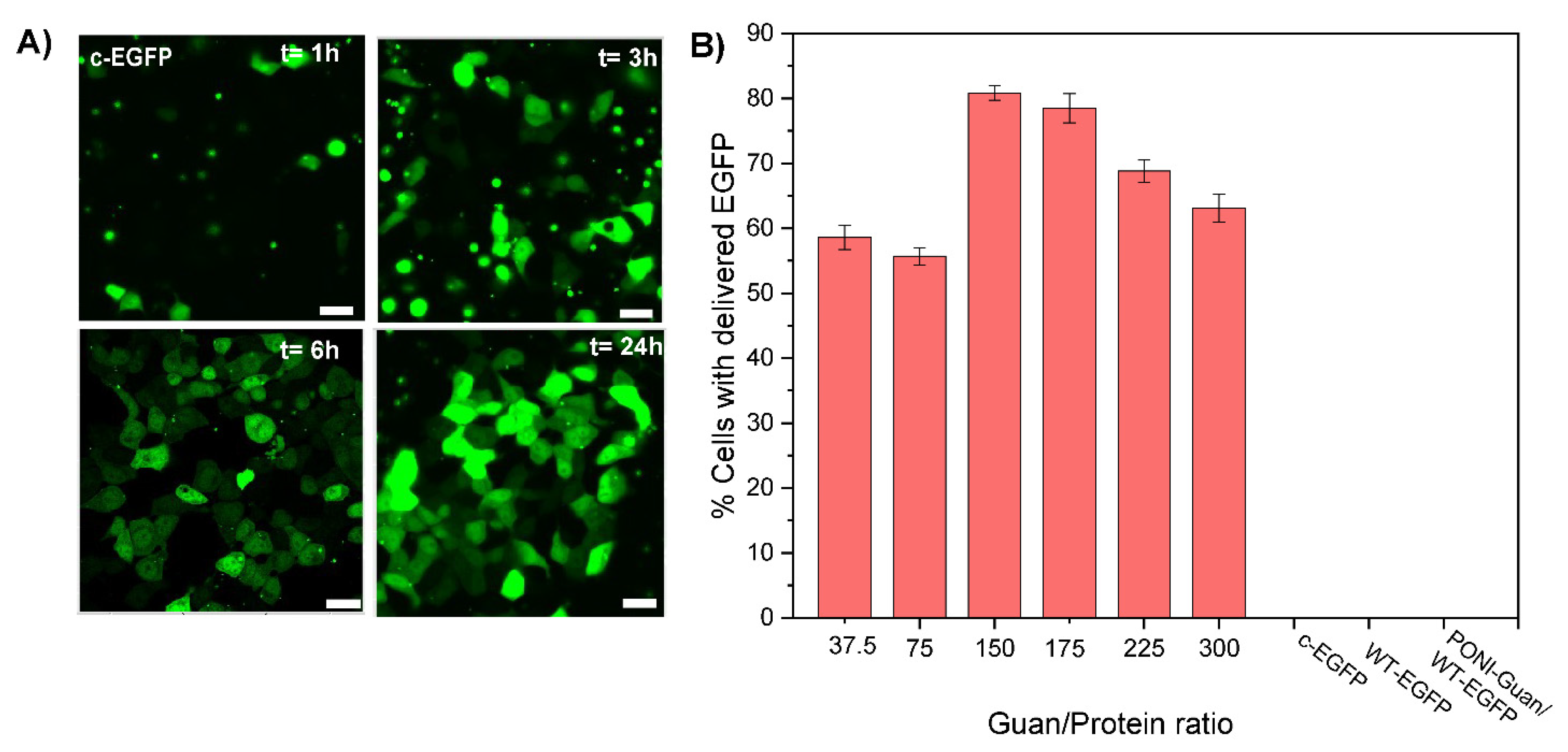 Pharmaceutics 15 00218 g002