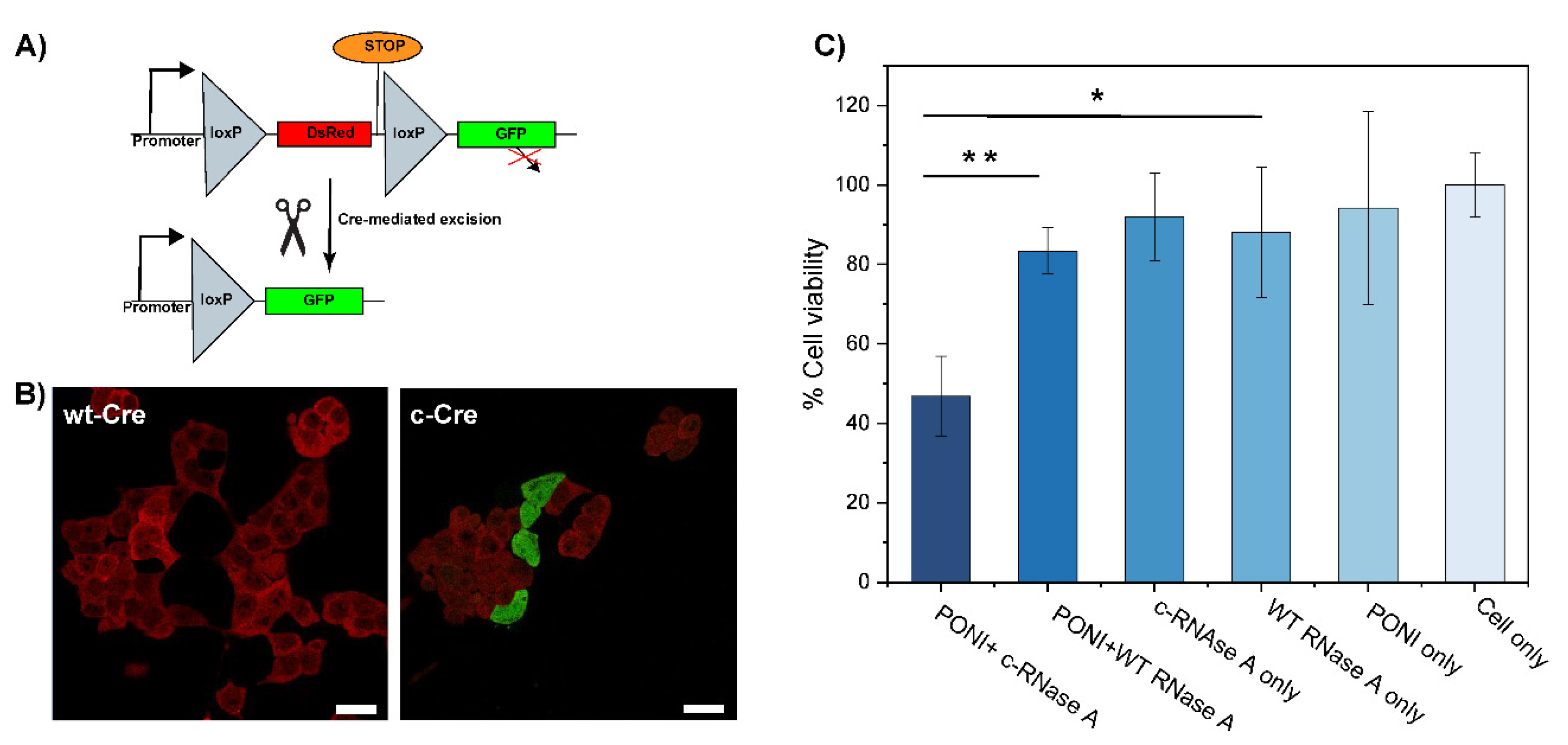 Pharmaceutics 15 00218 g004