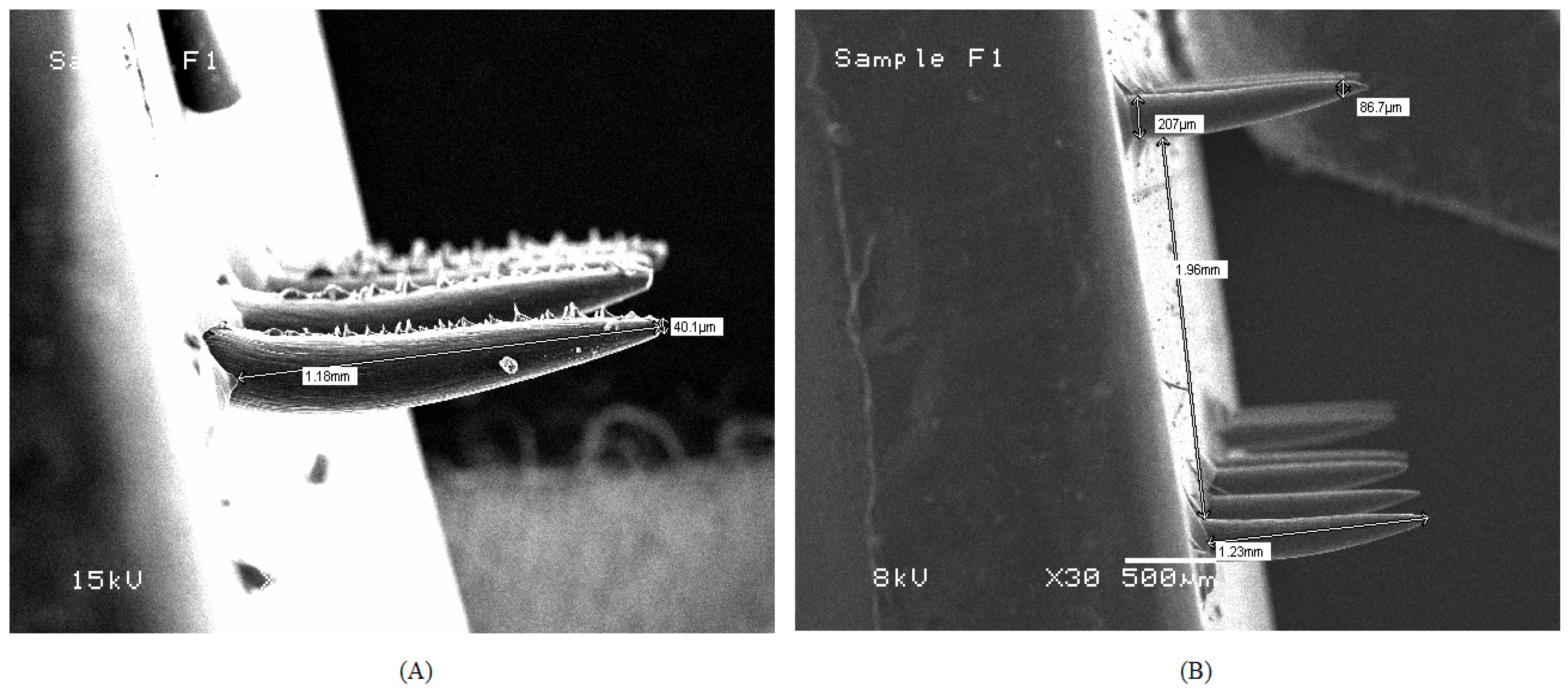 Pharmaceutics 15 00224 g003