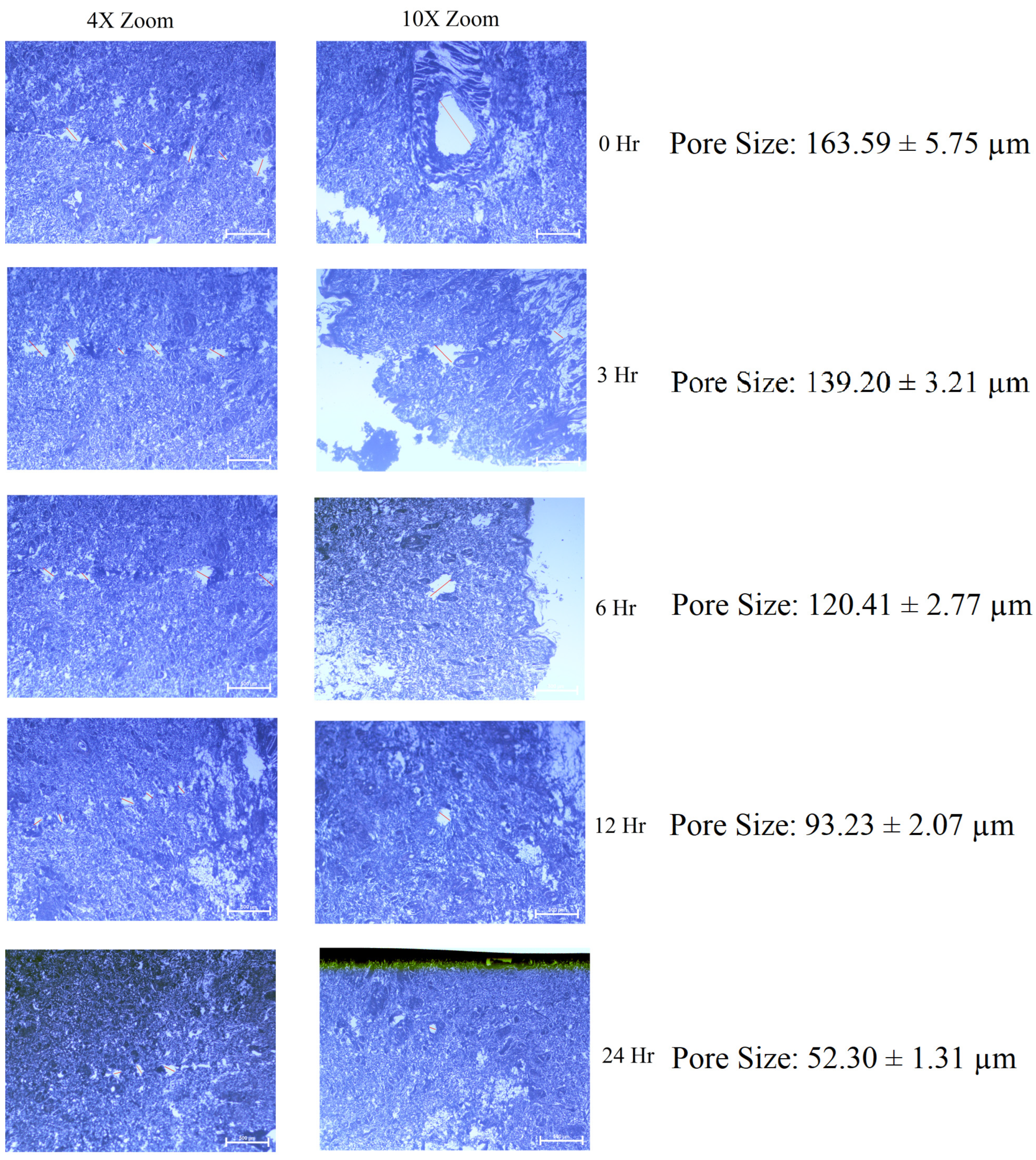 Pharmaceutics 15 00224 g004