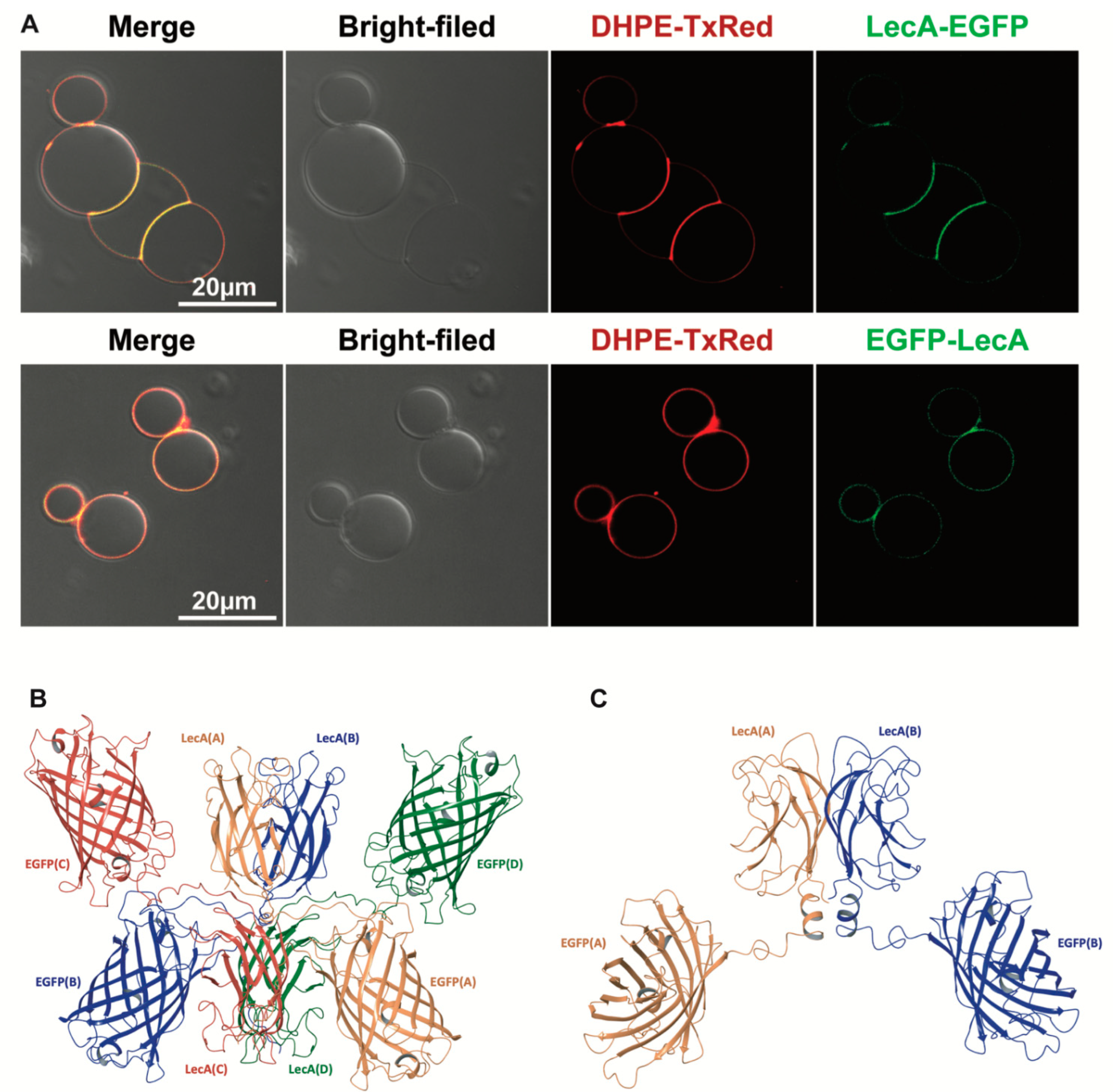 Pharmaceutics 15 00225 g005