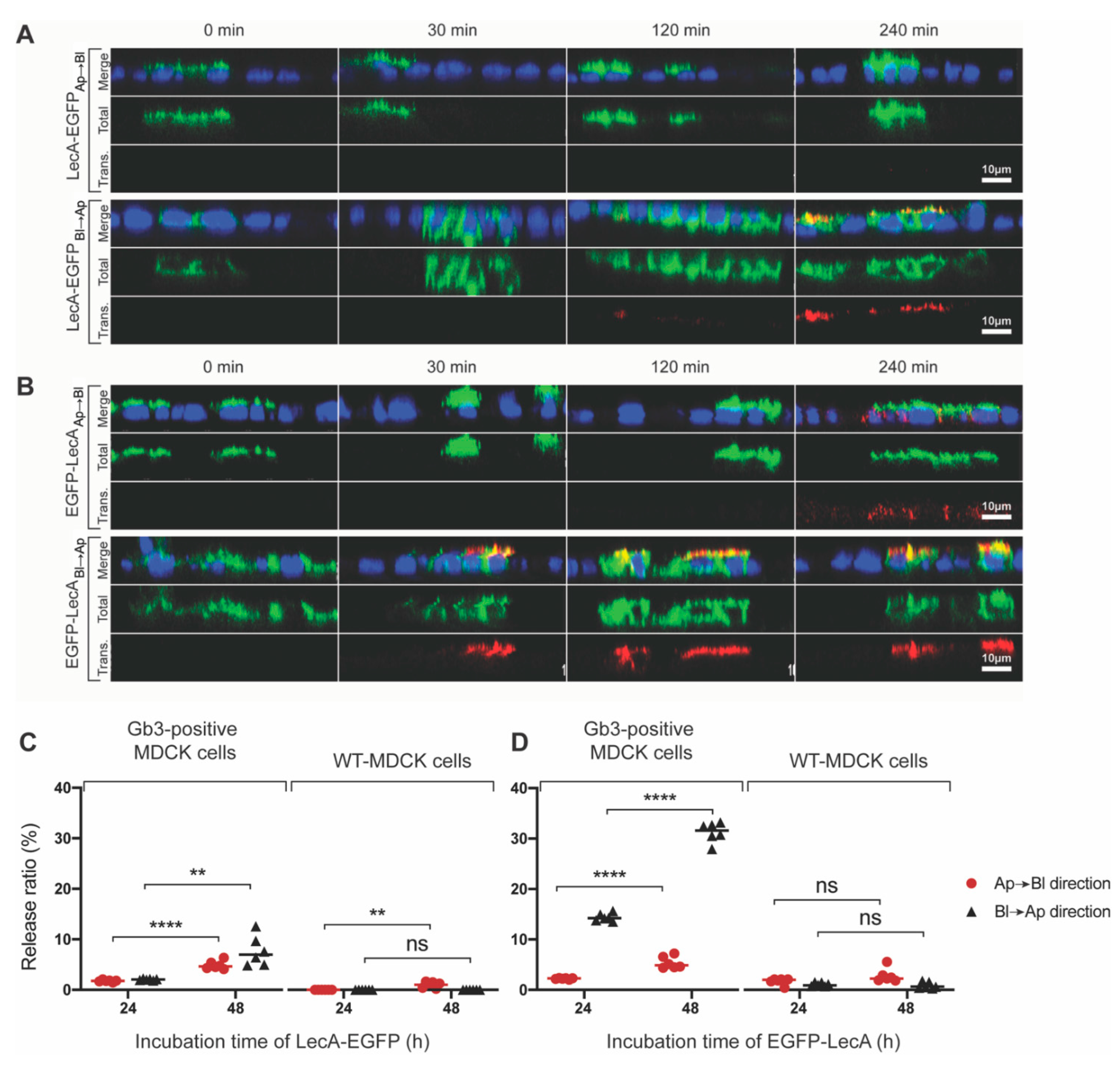 Pharmaceutics 15 00225 g006