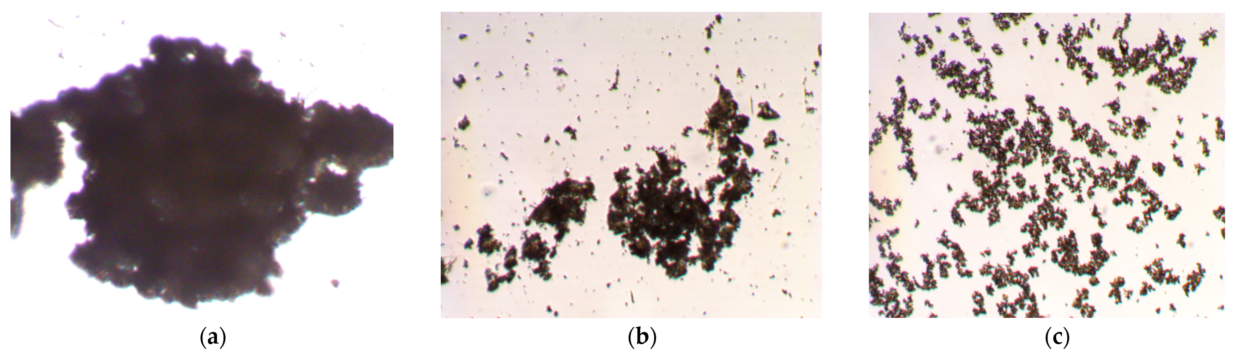 Pharmaceutics 15 00228 g004